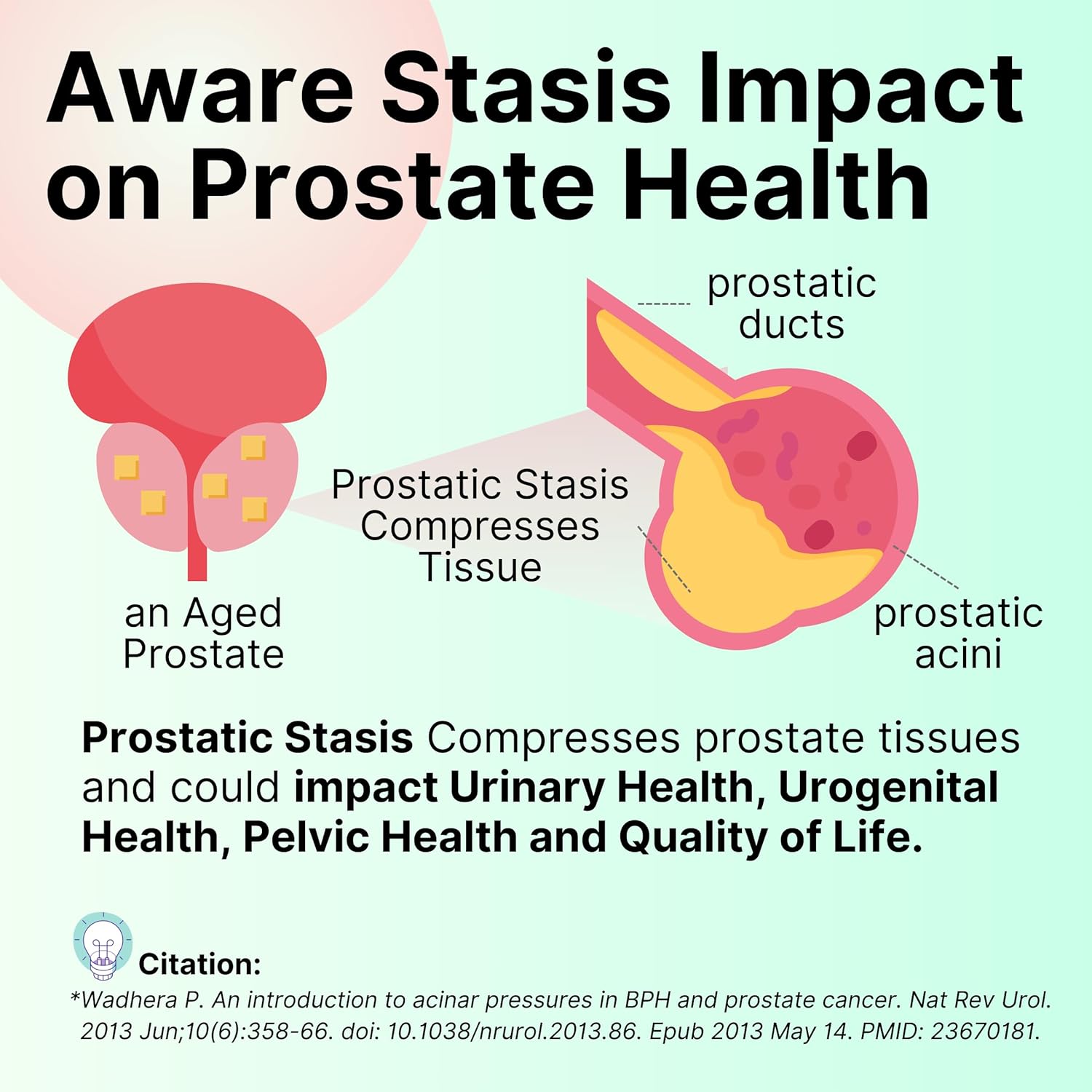 AOLYM Prost-Care Herbal Formula for Men's Pelvic Wellness & Prostate Health - 120 Packets