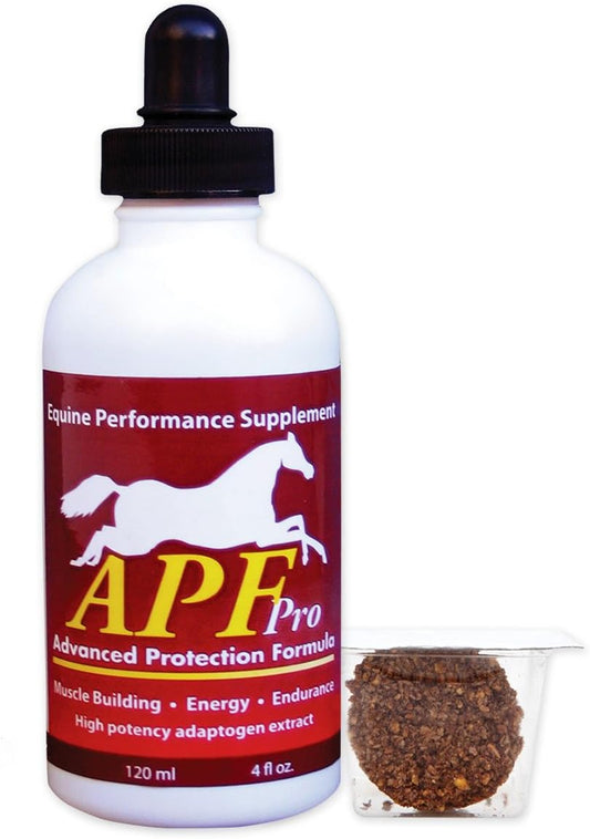 APF PRO Equine Supplement | Natural Formula for Gastric Health, Stress Resistance, Immune Support, Muscle & Endurance | Auburn Laboratories