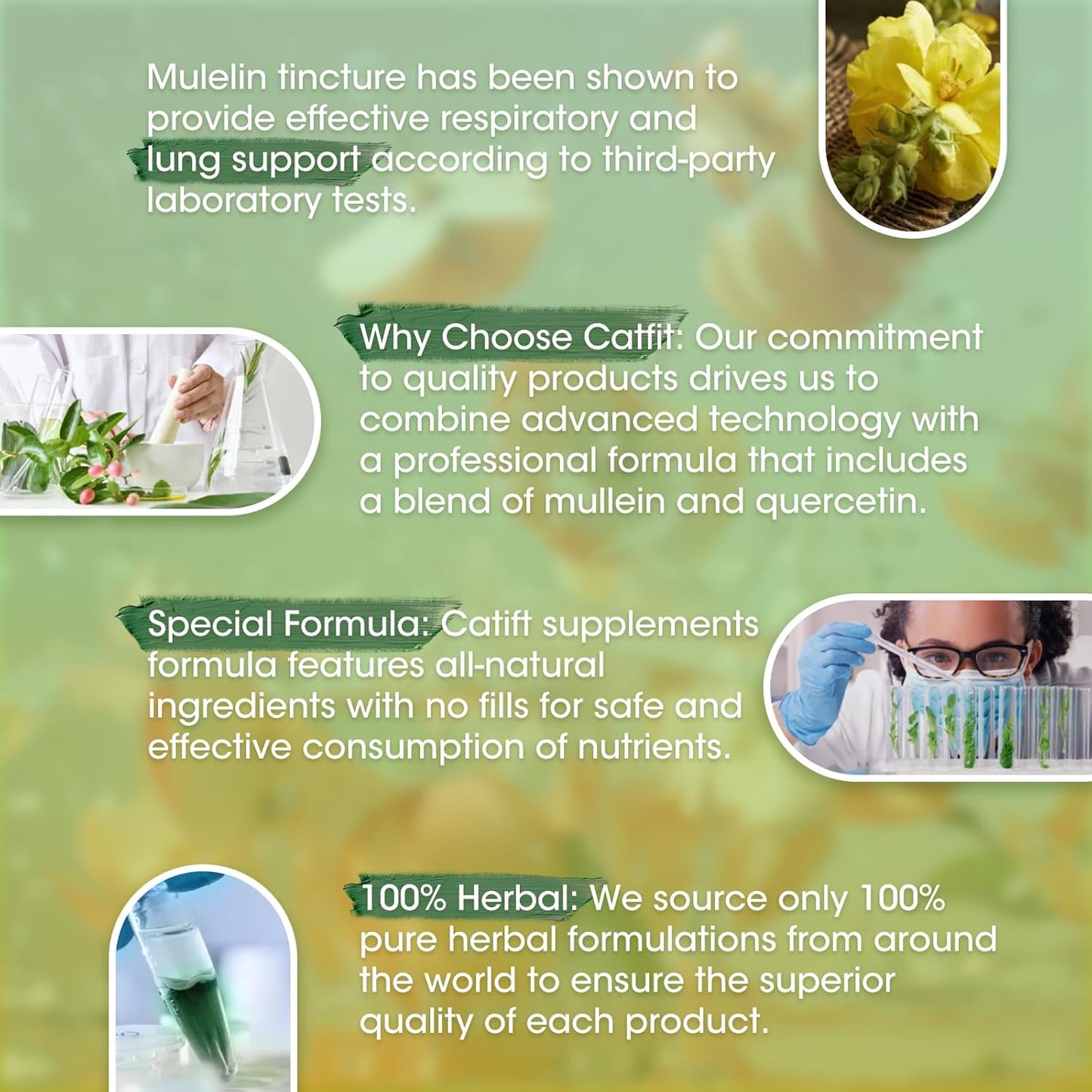 Apple Flavored Mullein Leaf Extract Drops for Lung Health - 2 Fl Oz Liquid Supplement for Smokers - Immune, Skin, Respiratory Support Tincture