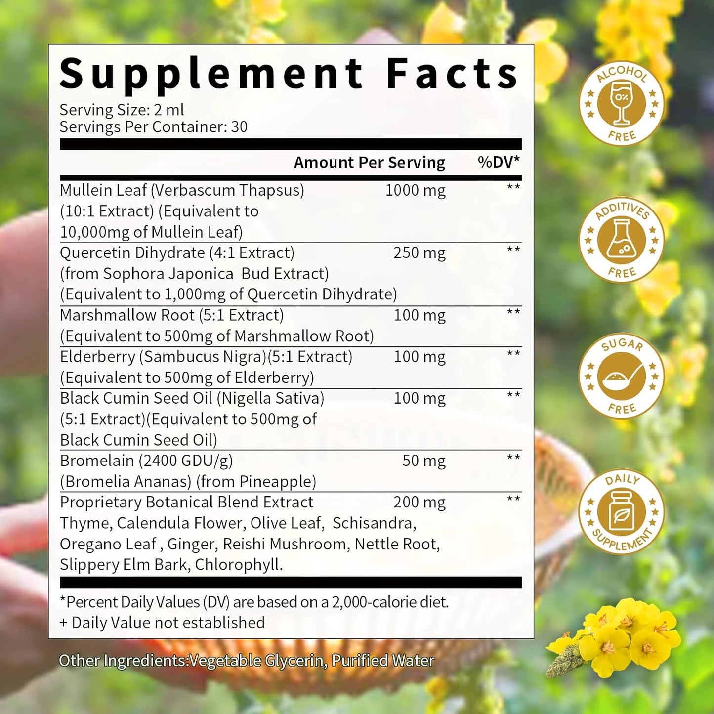 Apple Flavored Mullein Leaf Extract Drops for Lung Health - 2 Fl Oz Liquid Supplement for Smokers - Immune, Skin, Respiratory Support Tincture