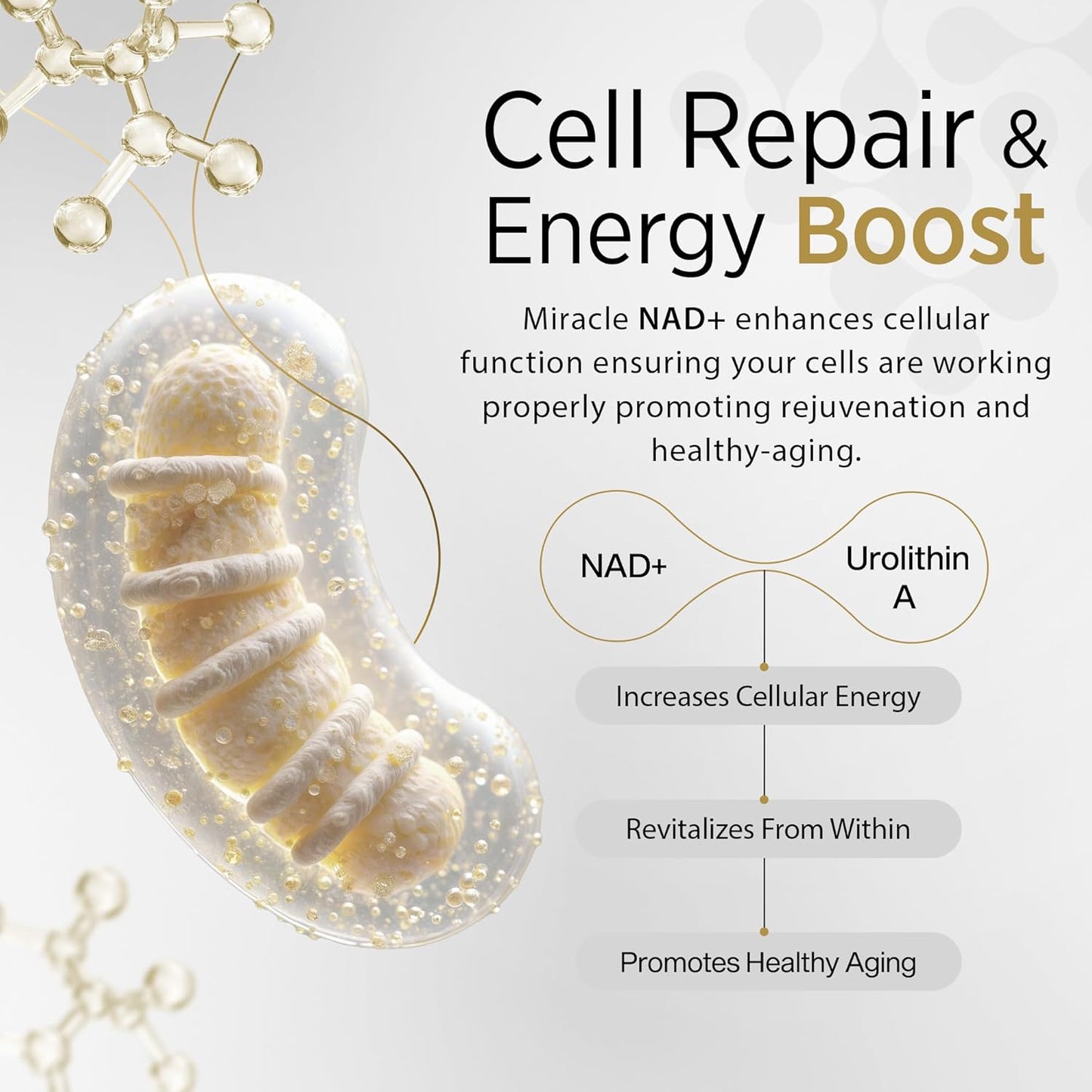 AQUAAID Miracle NAD Supplement with Urolithin A, NR, NAD+, Resveratrol - Healthy Aging & Cellular Energy - 60 Capsules