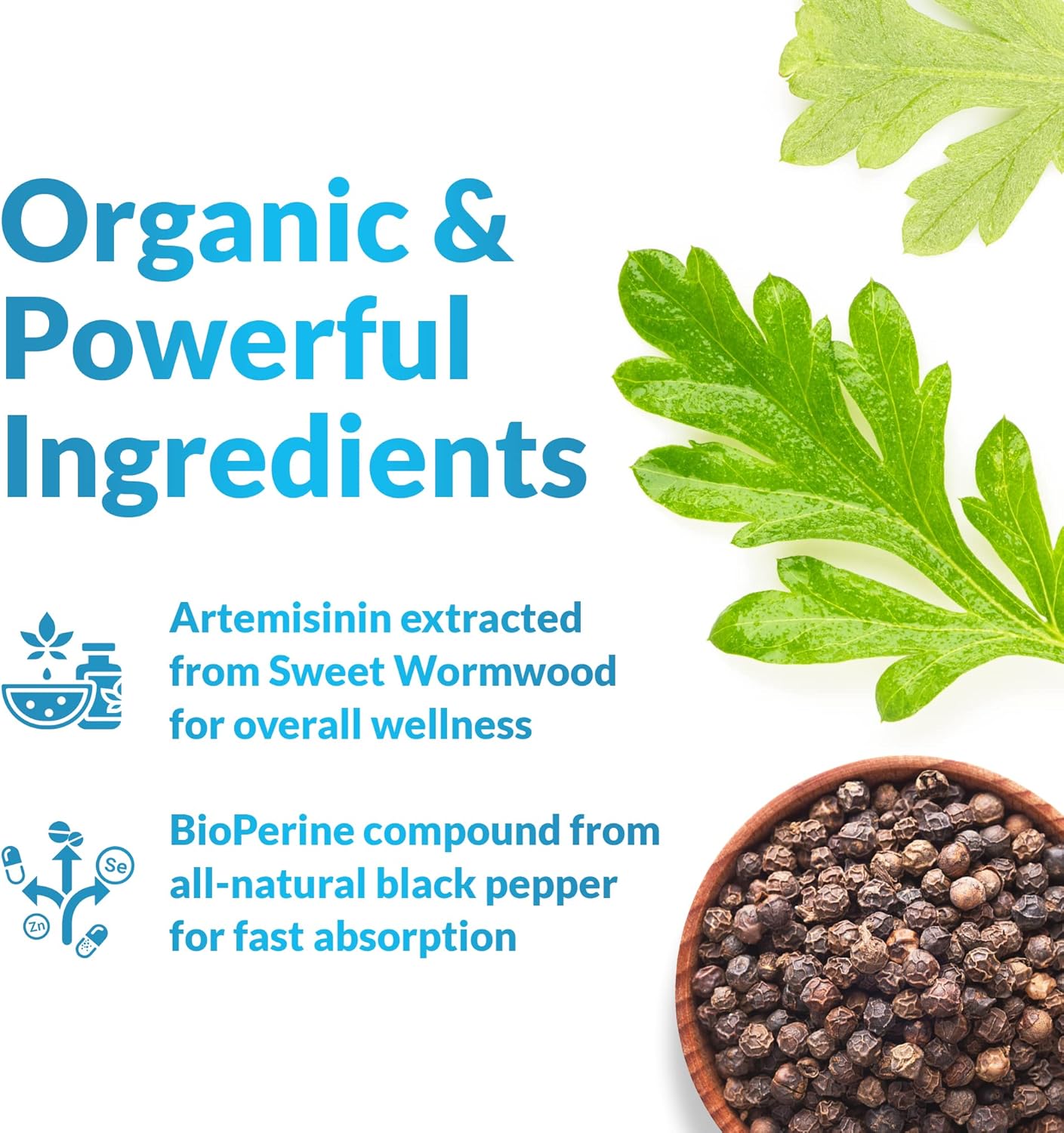 Artemisinin with BioPerine Capsules - 120 Vegan Capsules, 200 mg per Serving - Sweet Wormwood Extract - Enhanced Absorption & Non-GMO