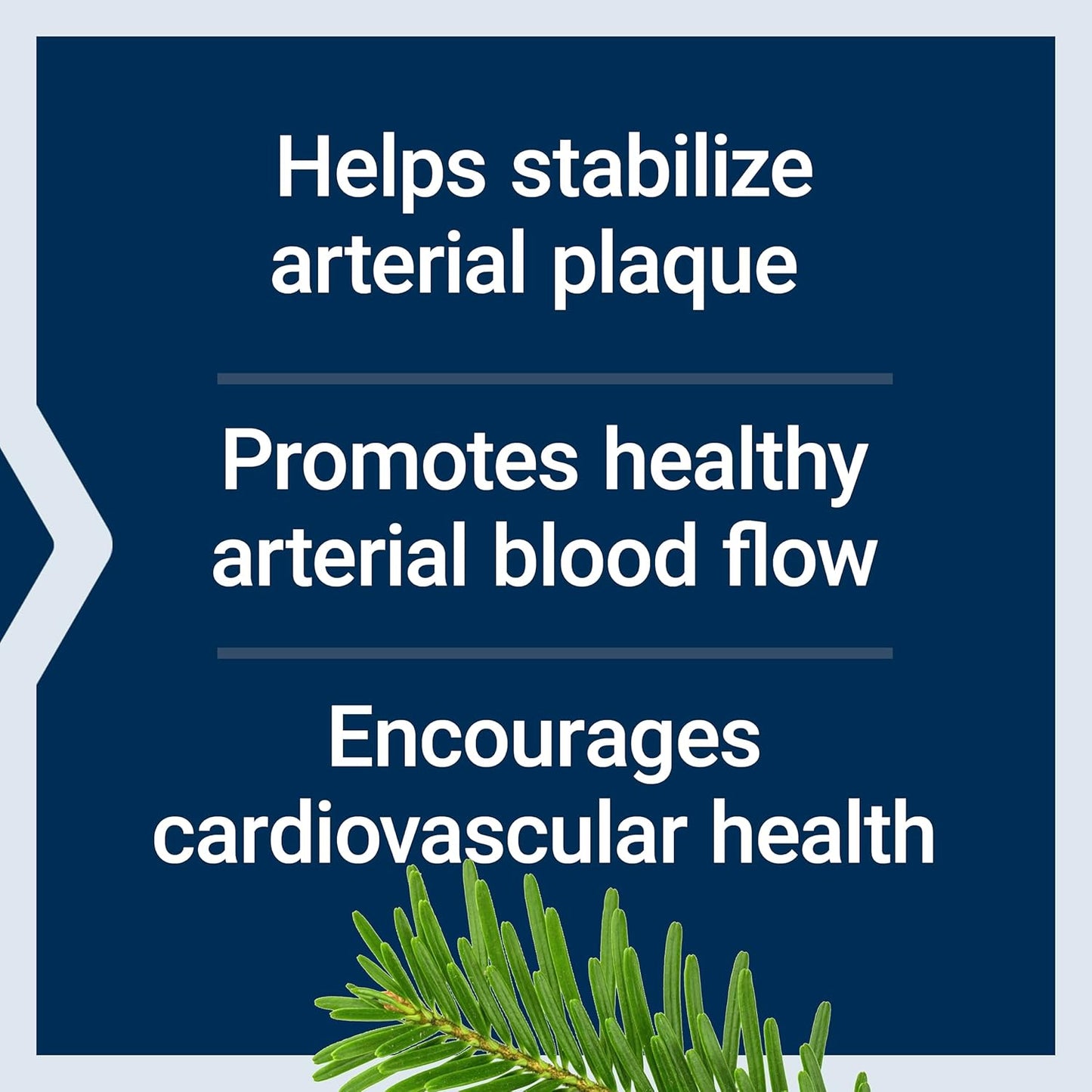 Arterial Protect Supplement - Heart Health with Gotu Kola & Pycnogenol - Gluten-Free, Non-GMO - 30 Capsules