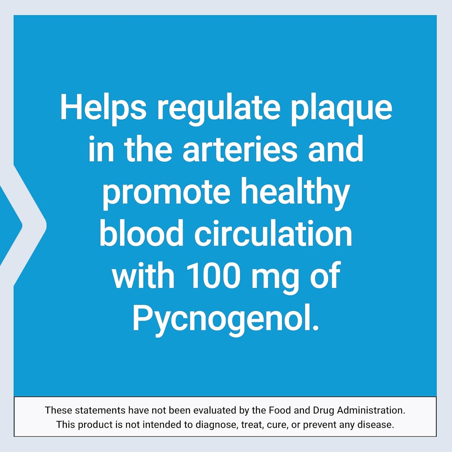 Arterial Protect Supplement - Heart Health with Gotu Kola & Pycnogenol - Gluten-Free, Non-GMO - 30 Capsules