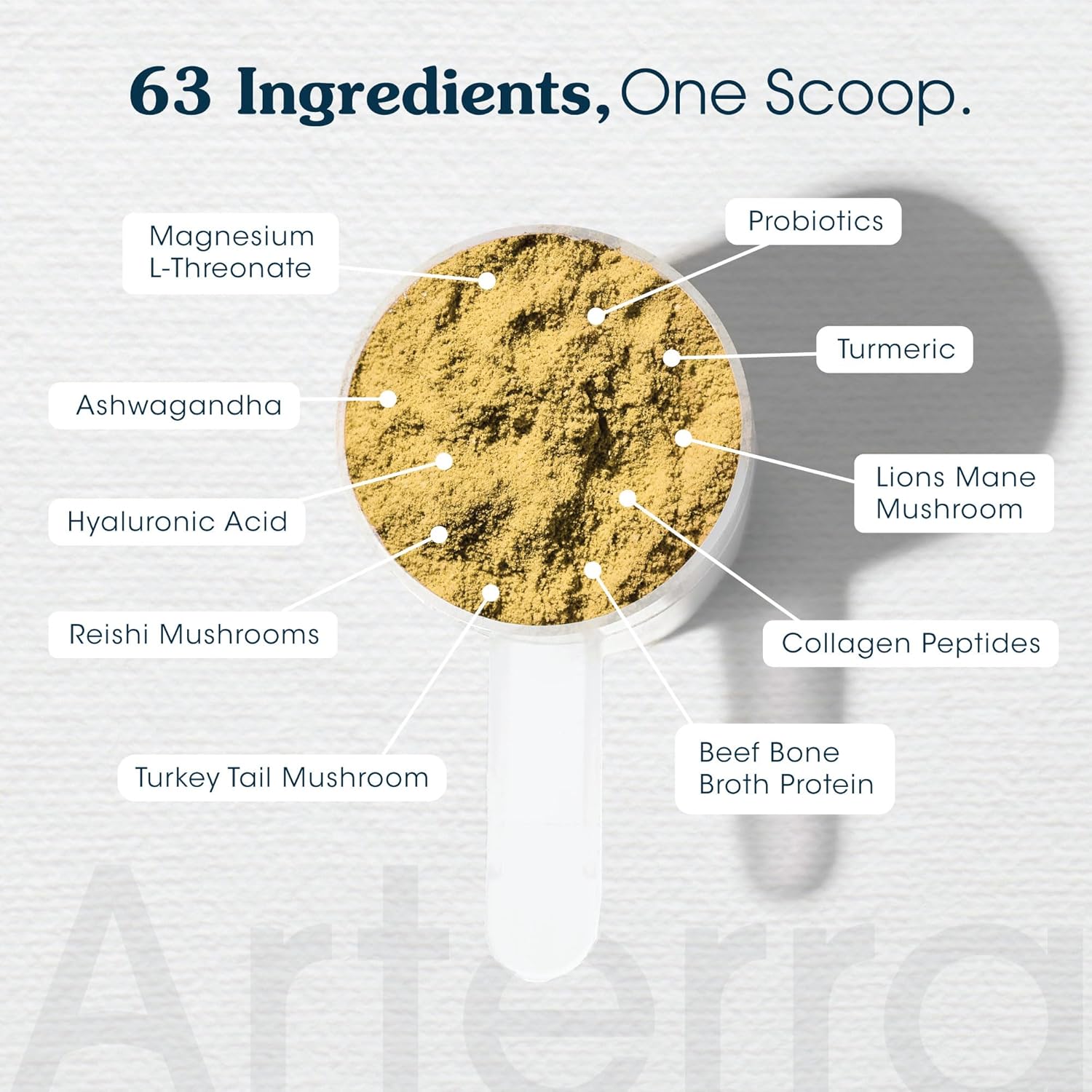 Arterra Pet Science Senior Dog Supplement with 63 Premium Ingredients for Aging Support, Hip & Joint, Cognition & Mood, Gut & Organs - Vet-Formulated All-in-One Senior Formula (8+ Years), 9.7 oz