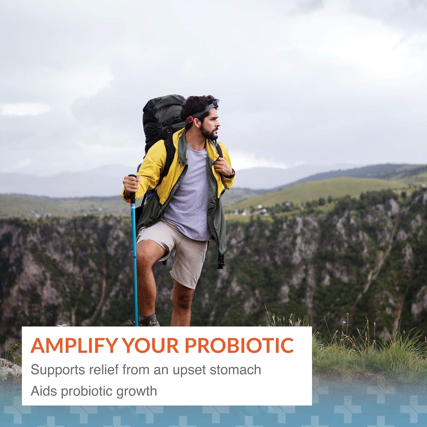 Arthur Andrew Medical Floraphage Prebiotic and Probiotic Multiplier 30 Capsules for Gut Health