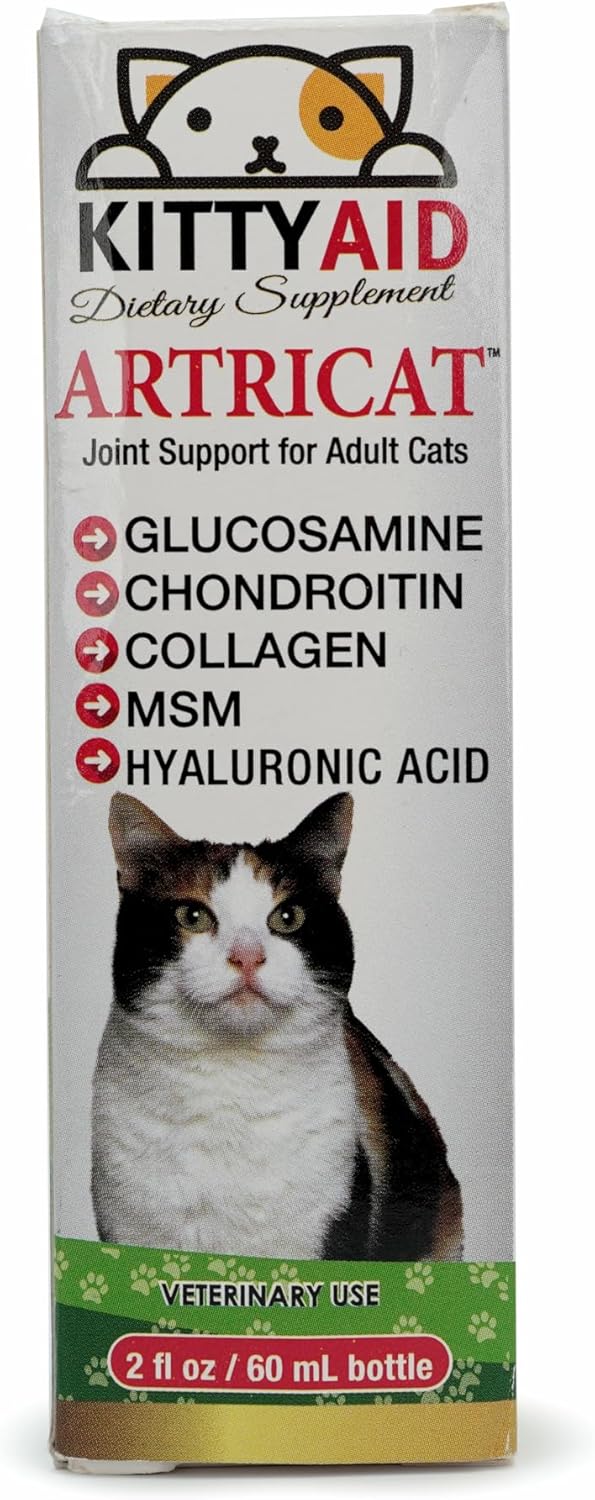 Artricat Dietary Supplement for Cats by Interfarma Corp | Cartilage Protection, Joint Support, & Inflammation Reduction | With Glucosamine, Collagen & Hyaluronic Acid | Pineapple Flavor, Drops