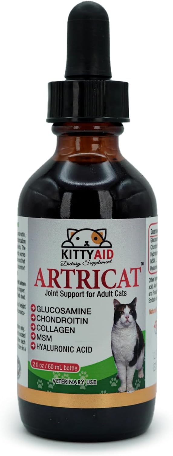 Artricat Dietary Supplement for Cats by Interfarma Corp | Cartilage Protection, Joint Support, & Inflammation Reduction | With Glucosamine, Collagen & Hyaluronic Acid | Pineapple Flavor, Drops