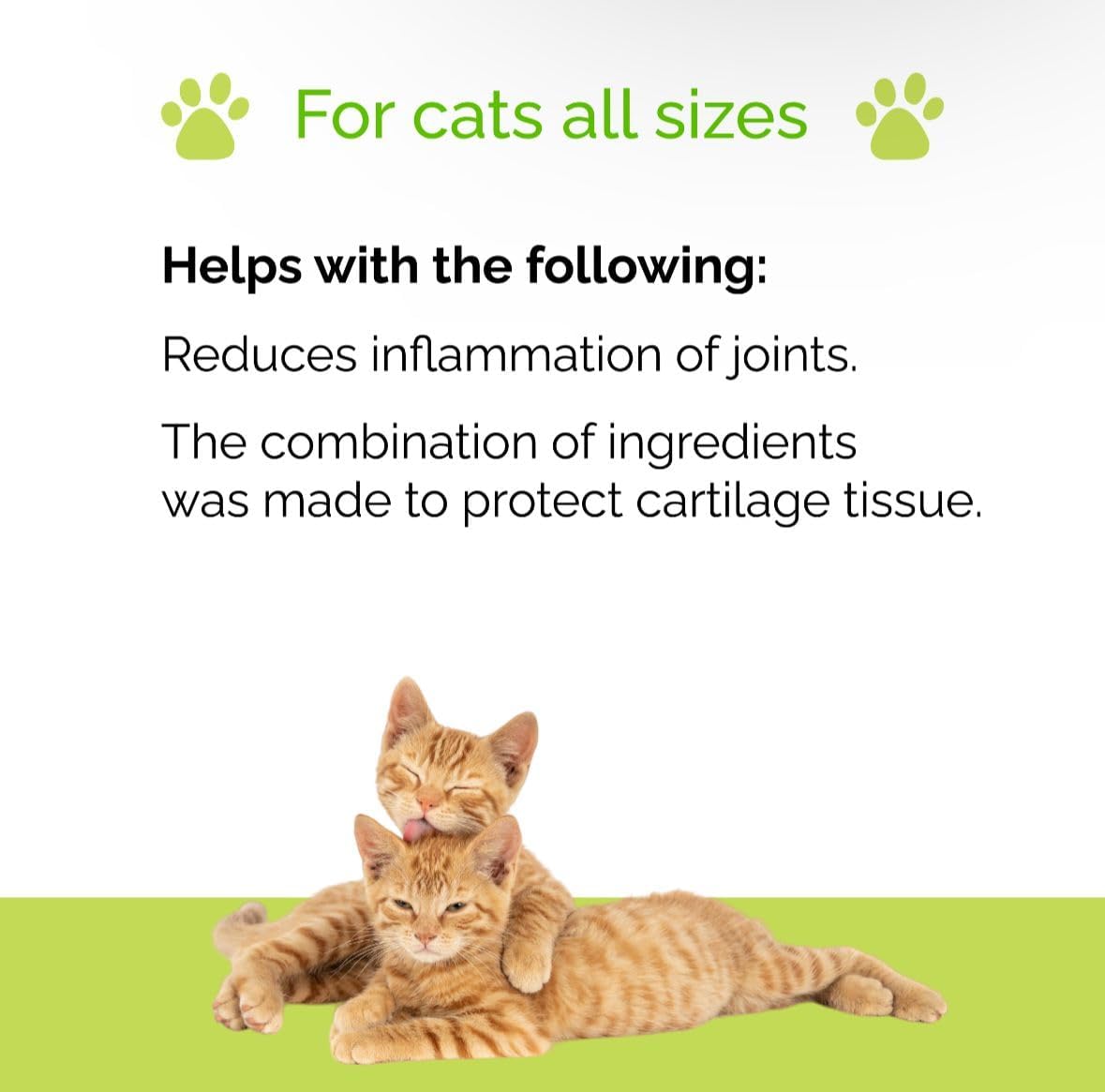 Artricat Dietary Supplement for Cats by Interfarma Corp | Cartilage Protection, Joint Support, & Inflammation Reduction | With Glucosamine, Collagen & Hyaluronic Acid | Pineapple Flavor, Drops
