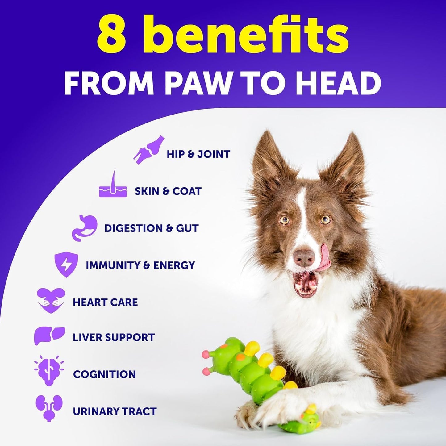 Artullano Dog Multivitamin Chewable with Glucosamine - 20 in 1 Senior & Puppy Dog Vitamins - Joint Support, Immunity, Mobility - 120 Chews