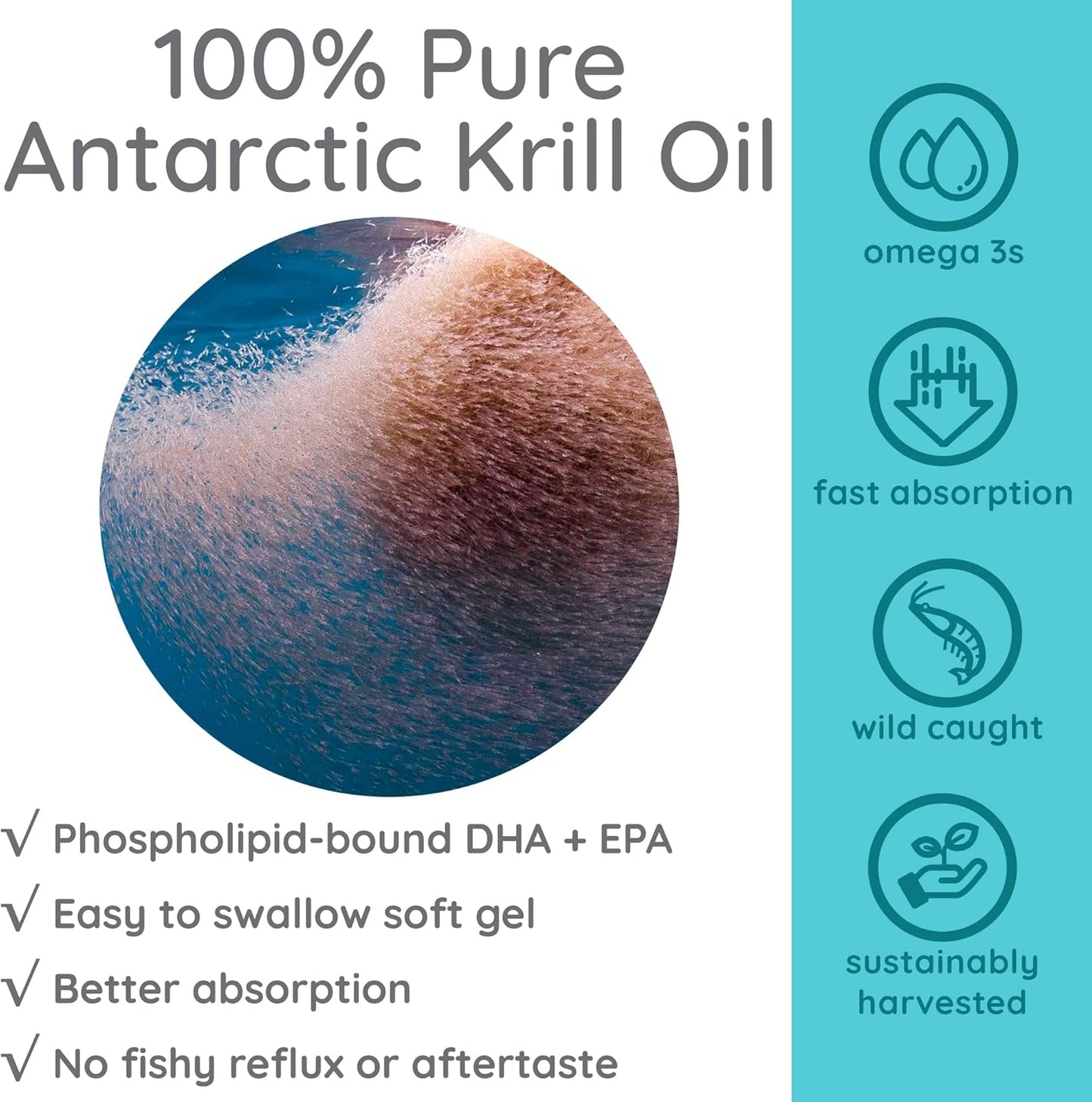 AS-IS Simply 550mg Antarctic Krill Oil Softgels - 180 Count - High in Omega-3s EPA & DHA - Rich in Astaxanthin - No Fishy Reflux