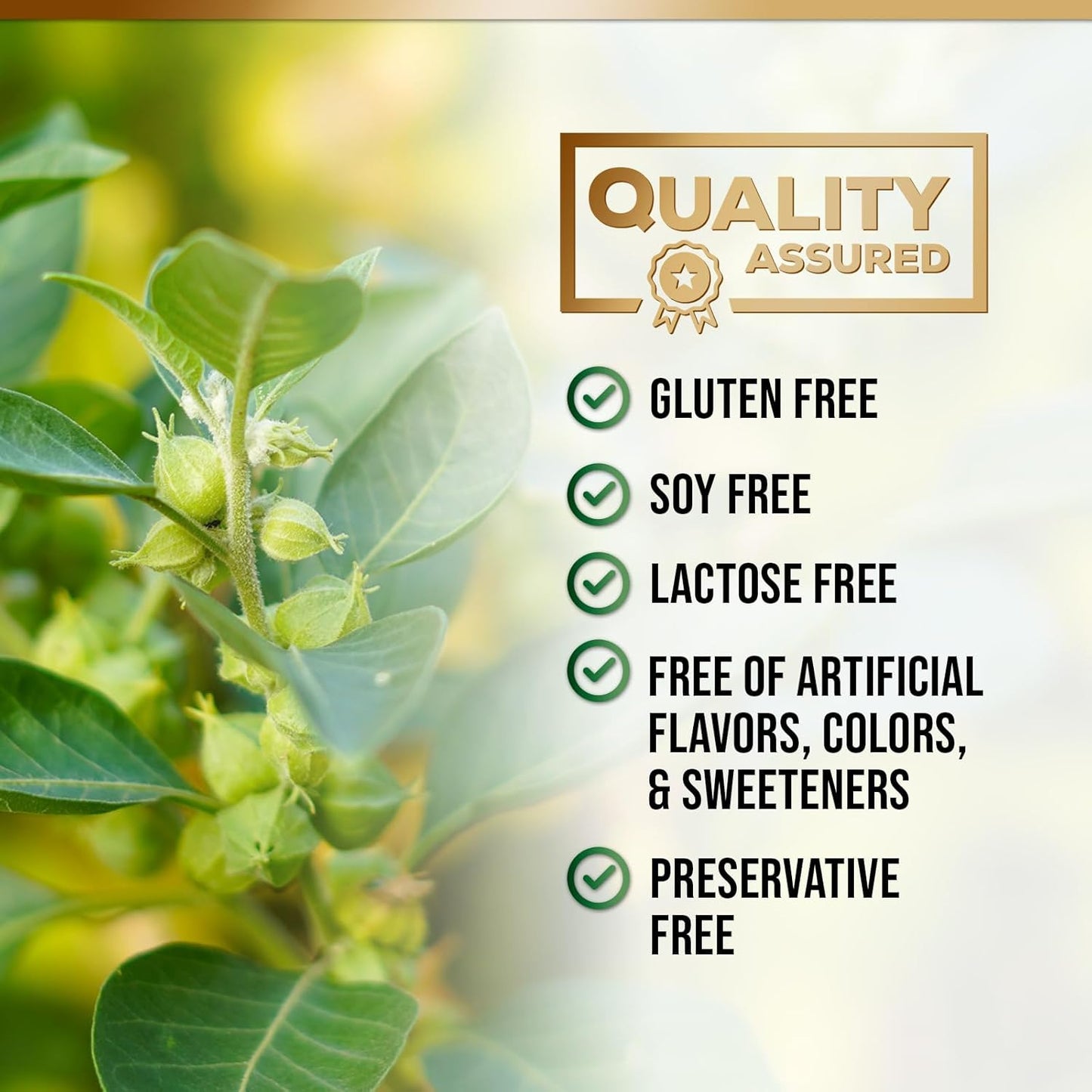 Ashwagandha & 10 Adaptogenic Herbs Adrenal Support Supplement - Rhodiola Rosea, Holy Basil - Energy Balance, Stress Relief - 60 Capsules