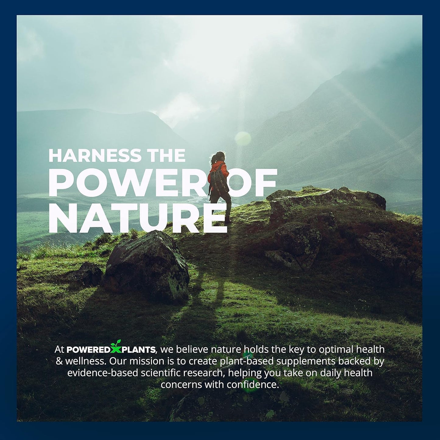 Ashwagandha Gummies for Sleep, Memory, and Cognitive Support - 2 Pack, 120 Servings - Men and Women's Ashwagandha Gummies