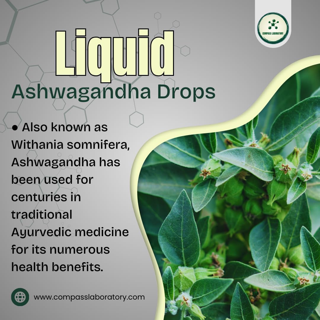 Ashwagandha Liquid Drops for Mood Support and Immune Boost - Compass Laboratory - 2 fl oz