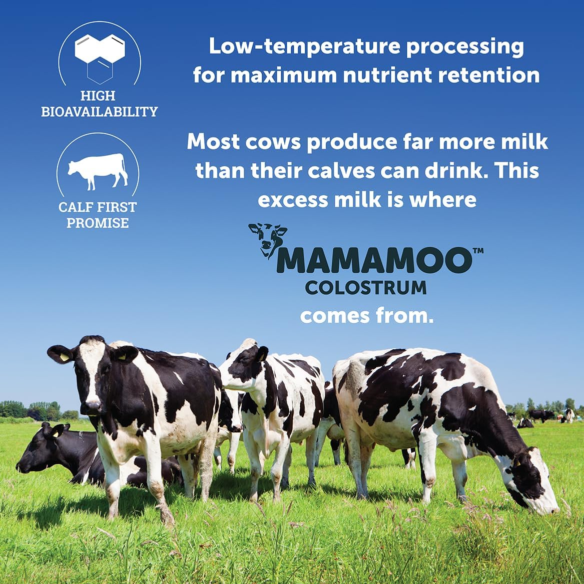 Asiya Life MamaMoo™ Incas Colostrum Powder - High IgG Content, Grass Fed, Non GMO, Gut Health, Immunity Support, Skin & Hair Benefits, 400+ Nutrients, Third Party Tested (Unflavored)