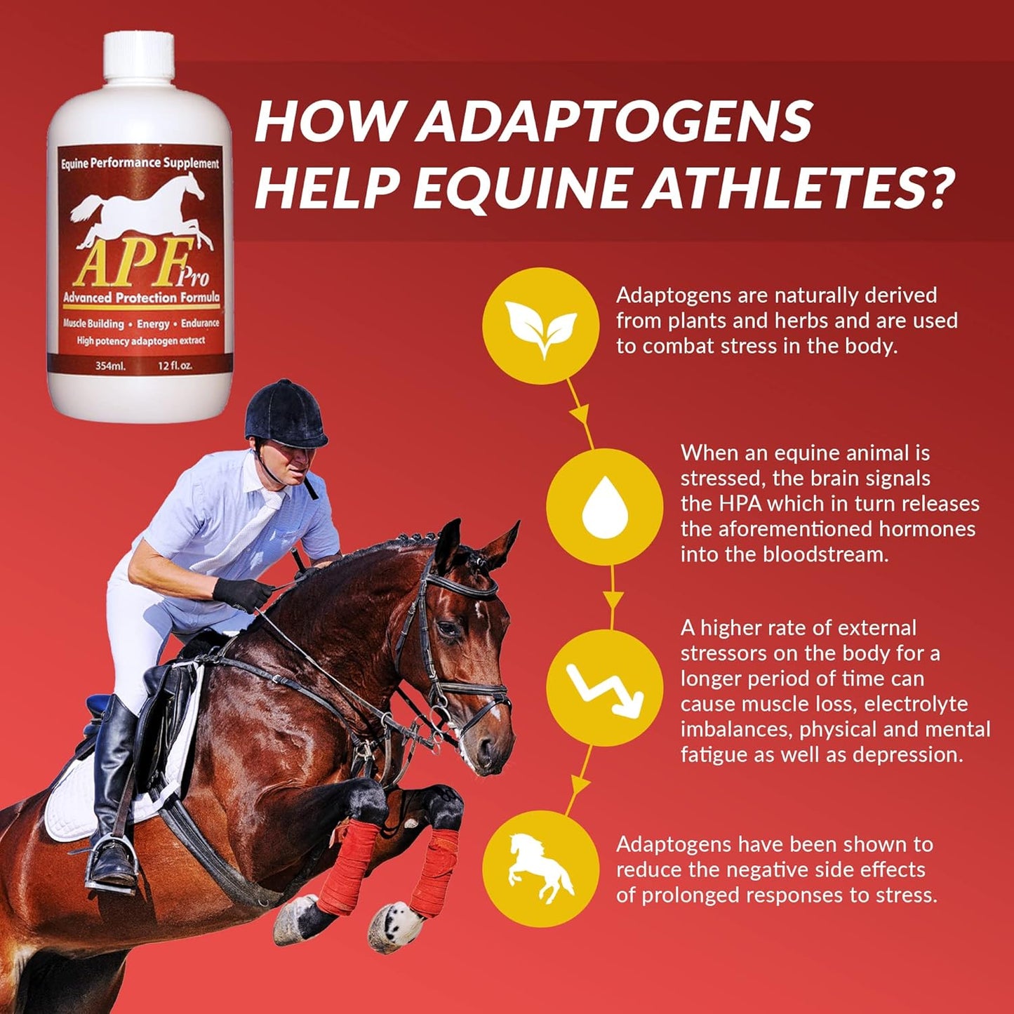 Auburn Laborato APF PRO Equine Supplement for Gastric Health, Stress Resistance, and Immune Support