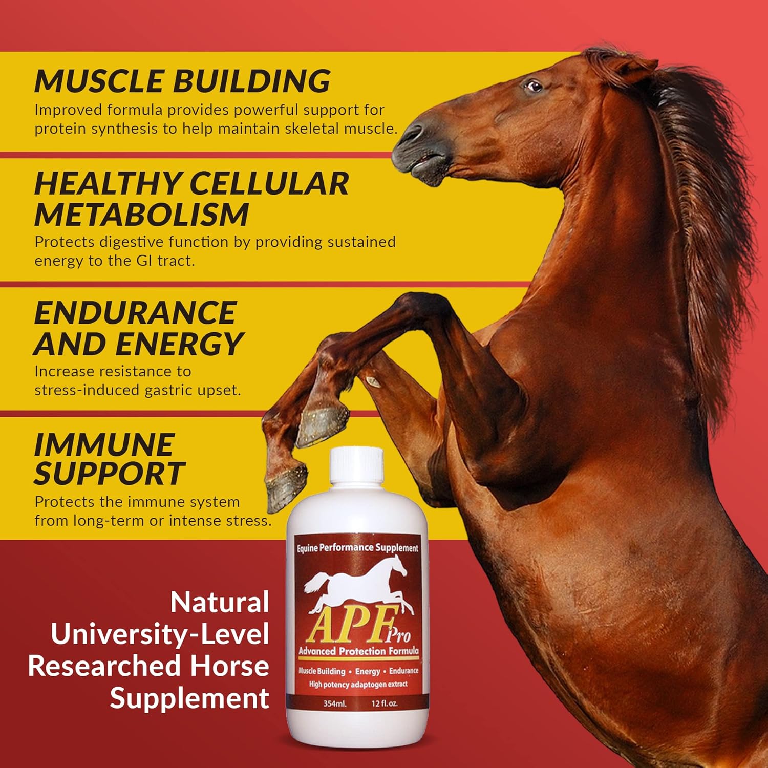 Auburn Laborato APF PRO Equine Supplement for Gastric Health, Stress Resistance, and Immune Support