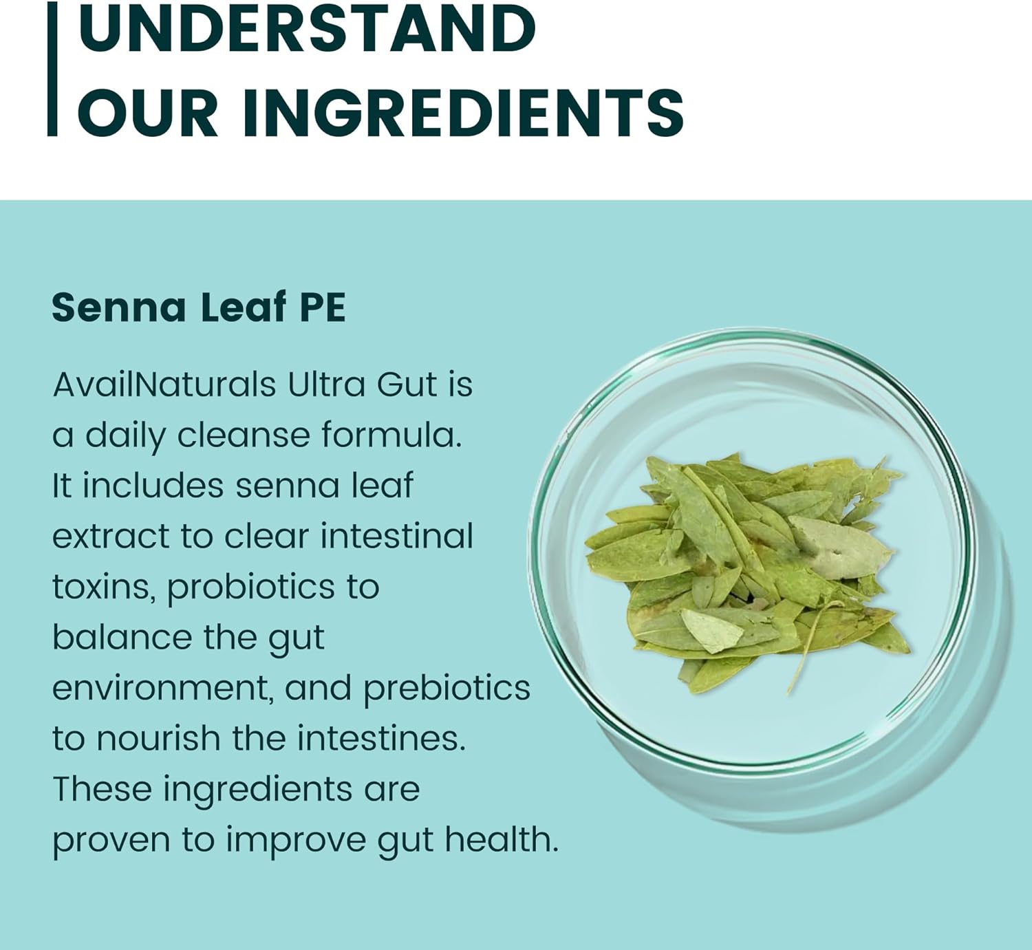 AvailNaturals Daily Cleanse with Senna Leaf Extract & Probiotics - Digestive Support Supplement for Gut & Colon - 30 Capsules