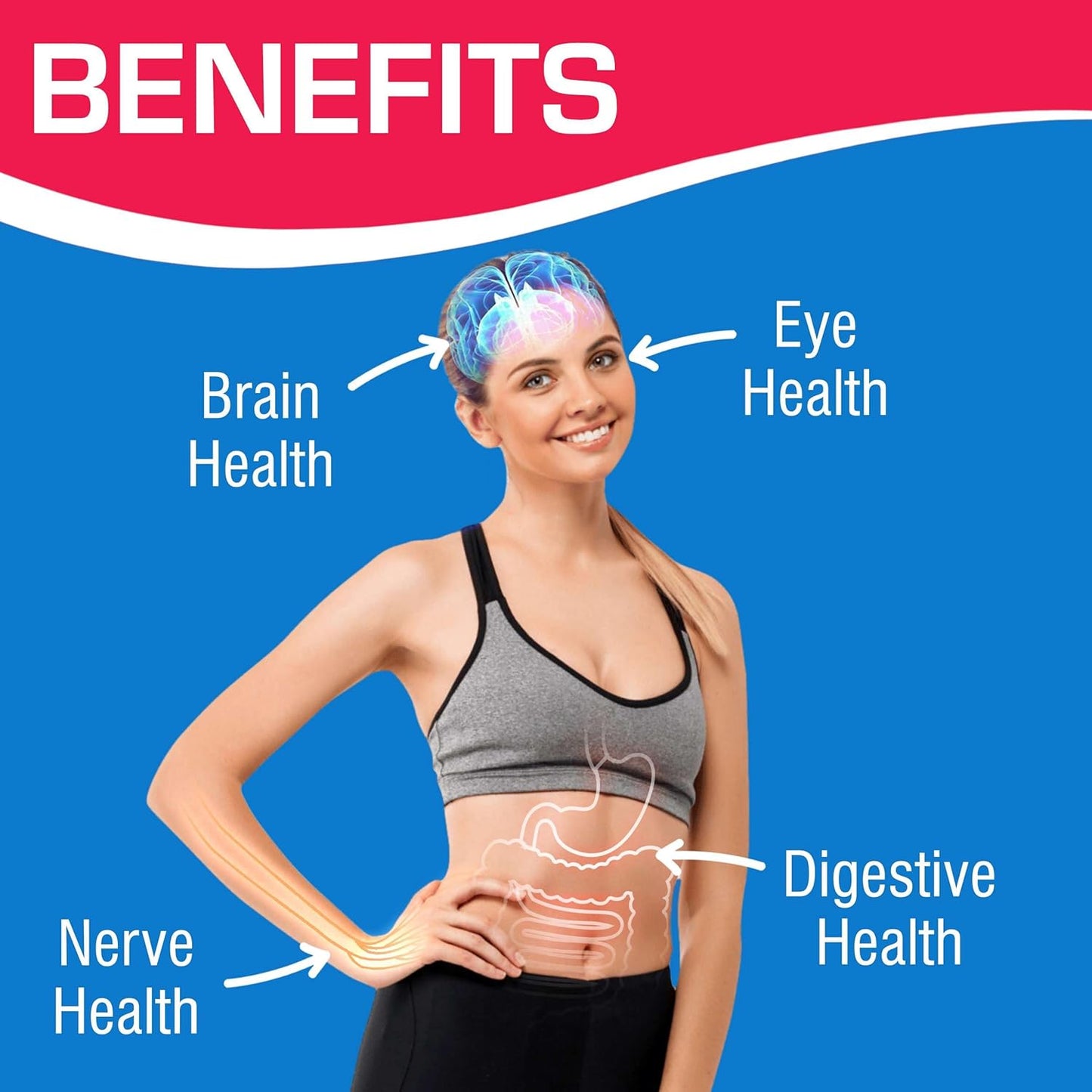 AVED Daily Multi Vitamin and Minerals Supplement - Iron-Free Multivitamin for Men and Women - 120 Tablets - Supports Overall Health and Wellness