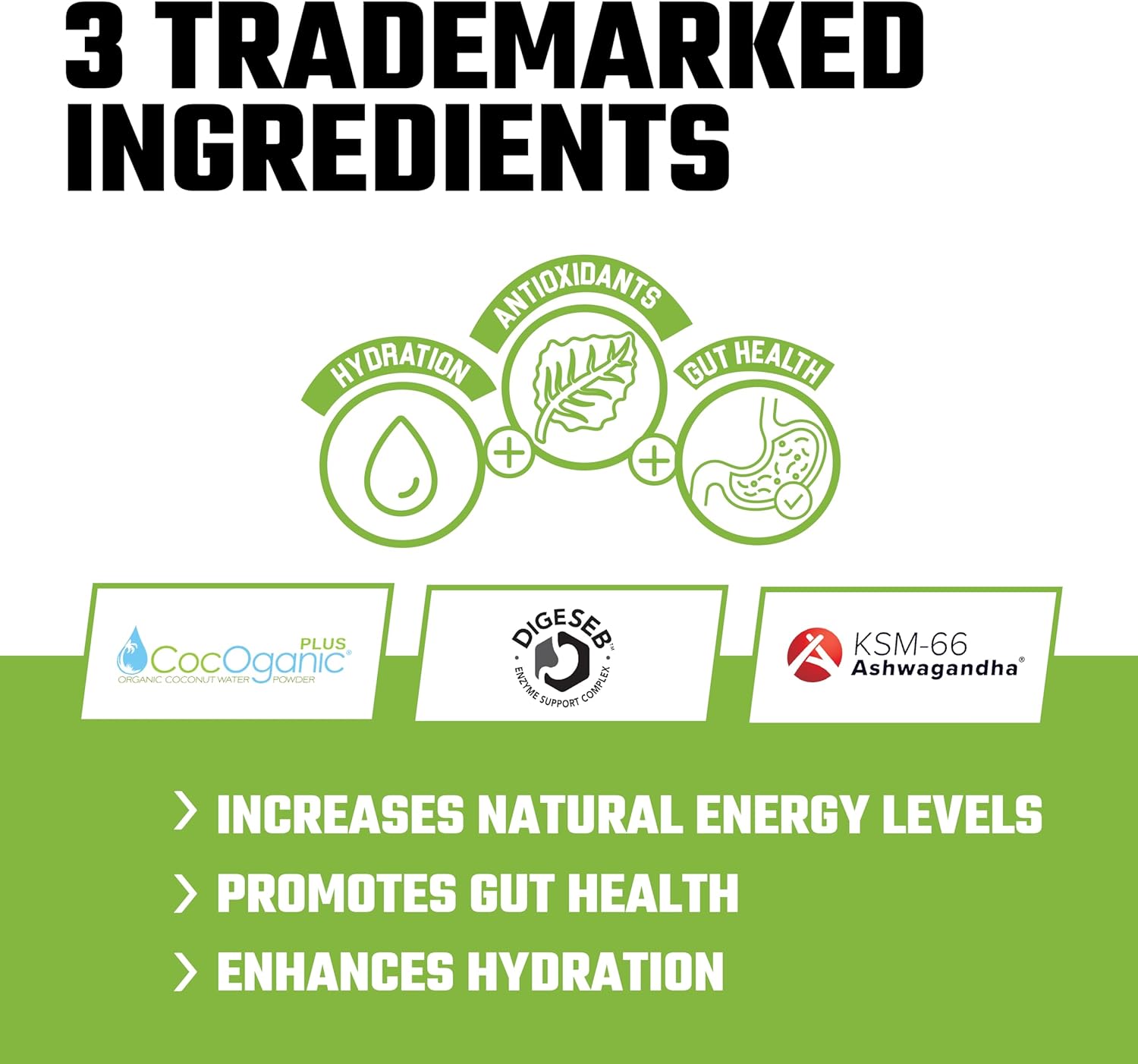 Axe & Sledge Greens+ Superfood Powder - Antioxidants, Probiotics, Enzymes, Ashwagandha, Coconut Water, 30 Servings - Cucumber Melon V2