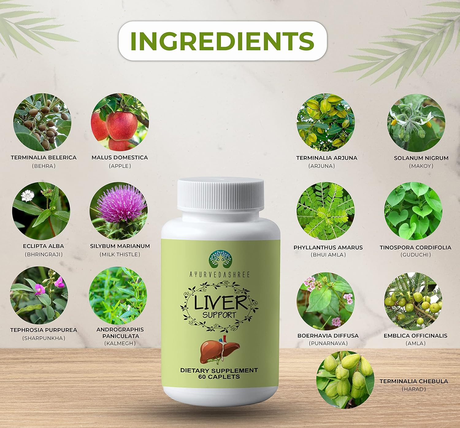 AYURVEDASHREE Liver Support Supplement - 13 Powerful Herbs for Healthy Liver - Vegan & Gluten-Free - 60 Caplets