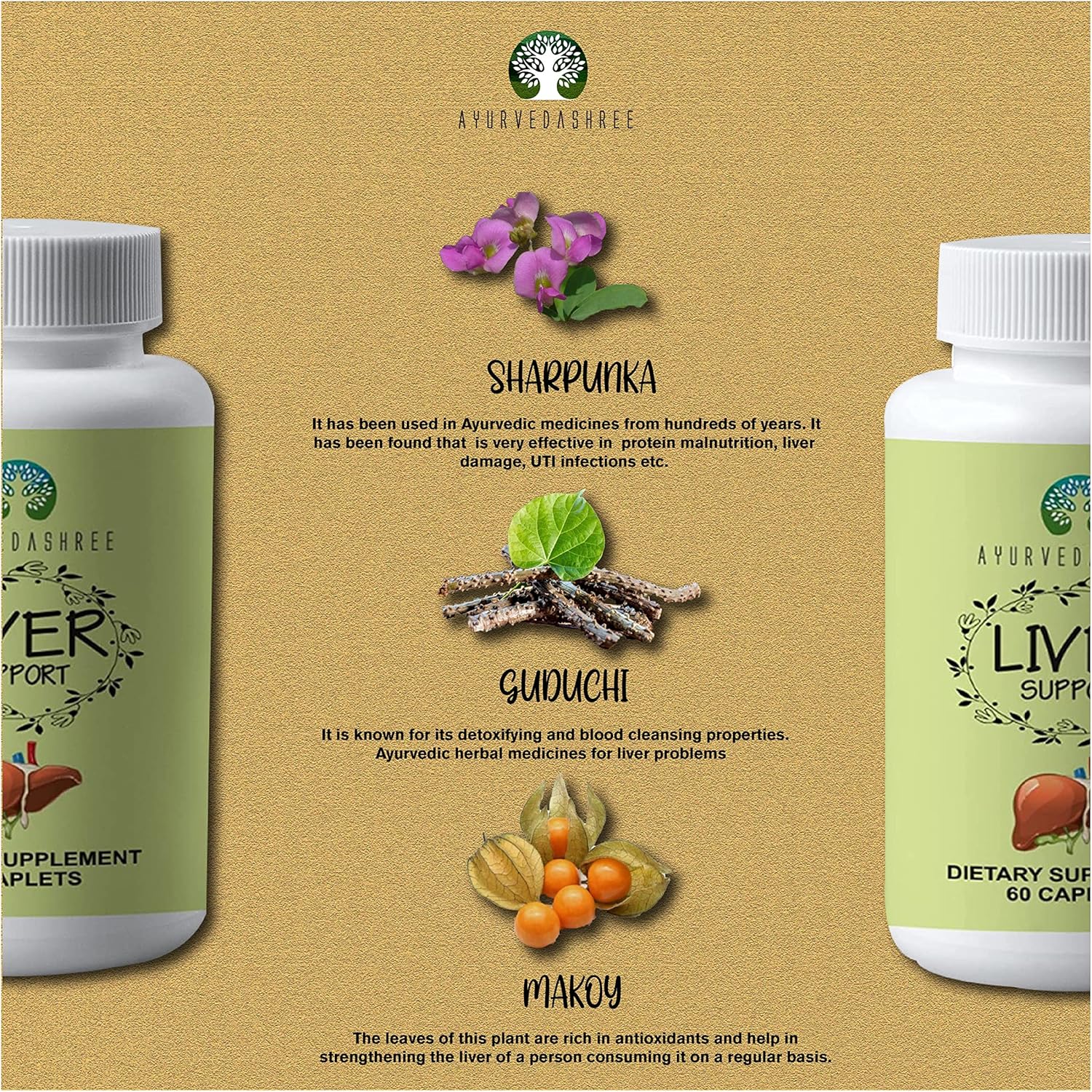 AYURVEDASHREE Liver Support Supplement - 13 Powerful Herbs for Healthy Liver - Vegan & Gluten-Free - 60 Caplets
