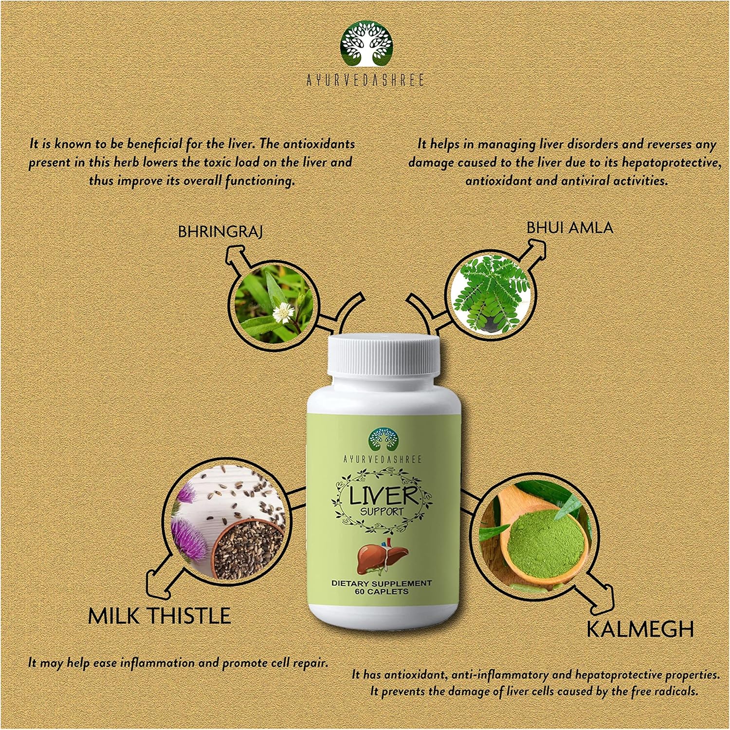 AYURVEDASHREE Liver Support Supplement - 13 Powerful Herbs for Healthy Liver - Vegan & Gluten-Free - 60 Caplets