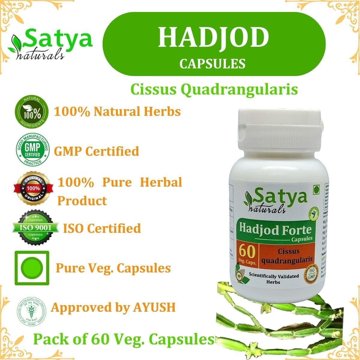 Ayurvedic Satya Naturals Hadjod Forte Capsules 500 mg - 4 Bottles of 60 Veg Capsules - Cissus Quadrangularis Herbal Supplement for Men and Women