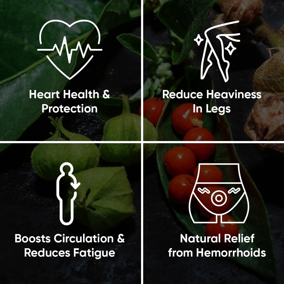 Ayurvedic Tablets for Varicose Veins & Circulation Support - 60 Easy-to-Swallow Pills with Ashwagandha, Punarnava, Turmeric & Triphala for Leg, Ankle & Feet Swelling Relief, Heart & Rectal Health Boost