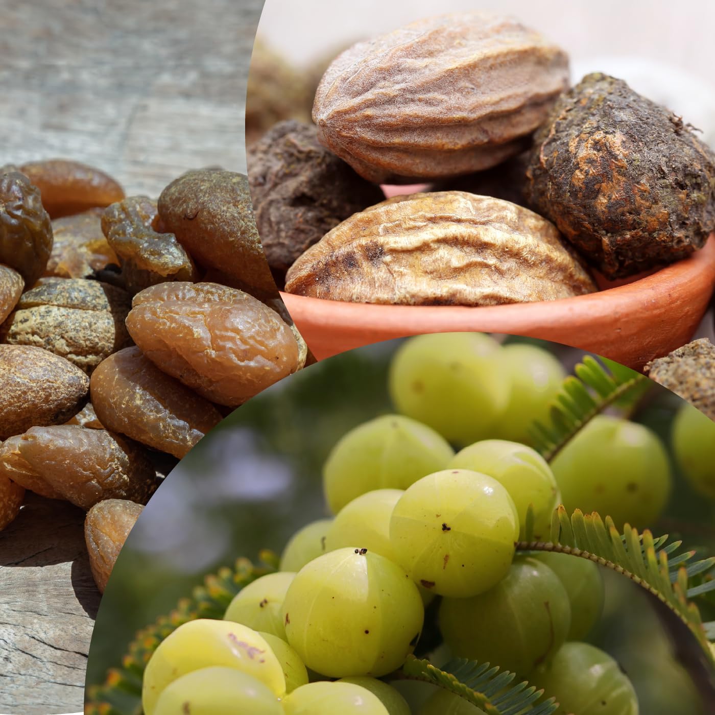 Ayurvedic Triphala Capsules for Digestive Health - Amla, Bibhitaki, Haritaki - 90 V-Capsules/ 500mg