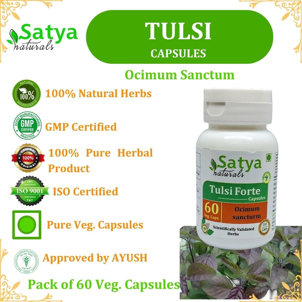 Ayurvedic Tulsi Forte Capsules 500mg | Organic Basil Extract for Men and Women | Herbal Supplement 10:1 Forte | 60 Veg Capsules