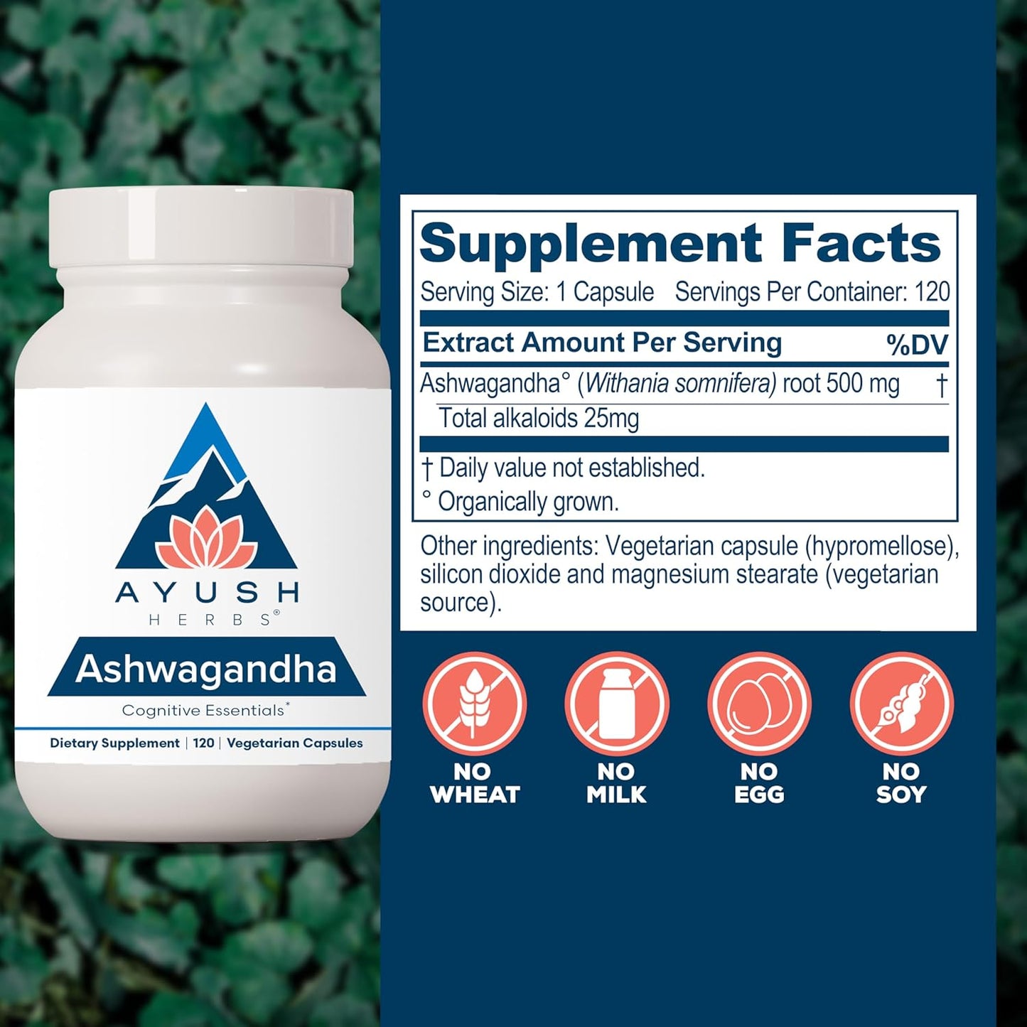 Ayush Herbs Ashwagandha Capsules - Pure Ashwagandha Root Powder for Stress Relief - 120 Vegetarian Caplets