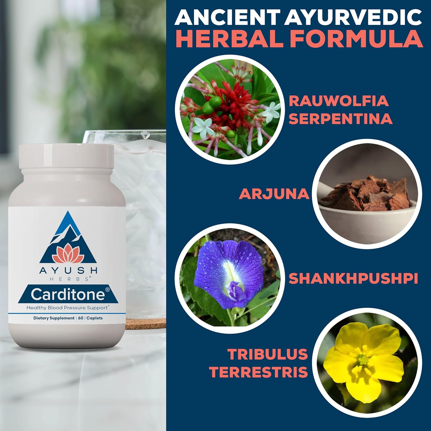 Ayush Herbs Carditone - Herbal Heart Health Supplement for Adults, Blood Pressure Support with Rauwolfia, Arjuna, Calcium, Magnesium - 60 Veg Caplets