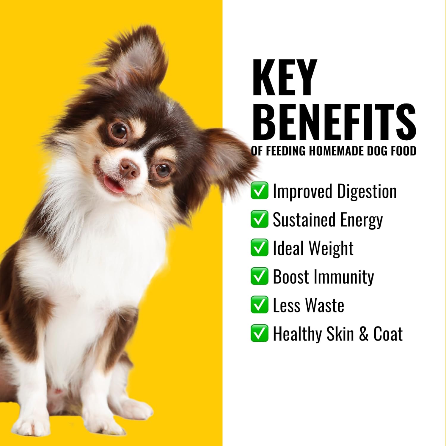 Azestfor USA-Made Homemade Dog Food Supplement - Holistic Whole Food Diets - All Breeds - Puppy to Adult - 16oz Powder