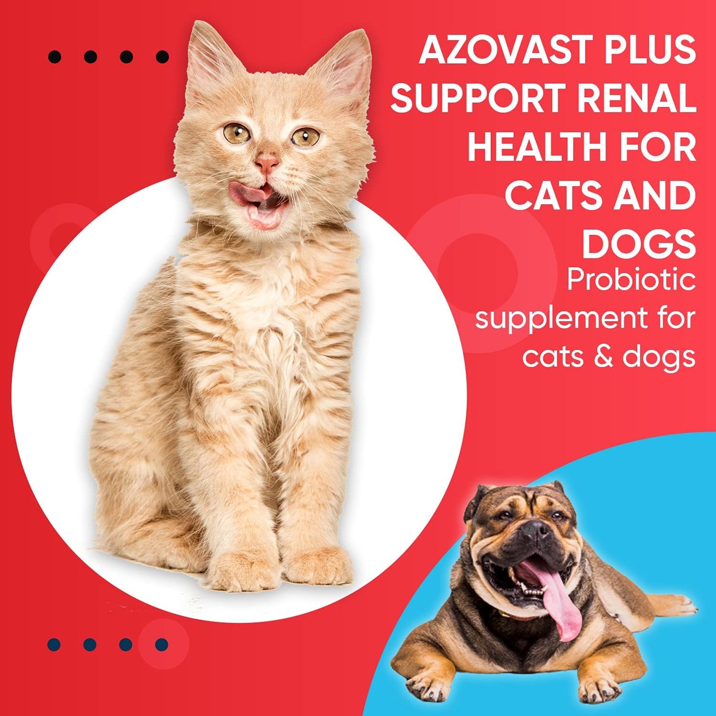 Azovast Plus Kidney Health Supplement for Dogs & Cats - Oral Powder (6 Oz) - Supports Kidney Function - Made in USA