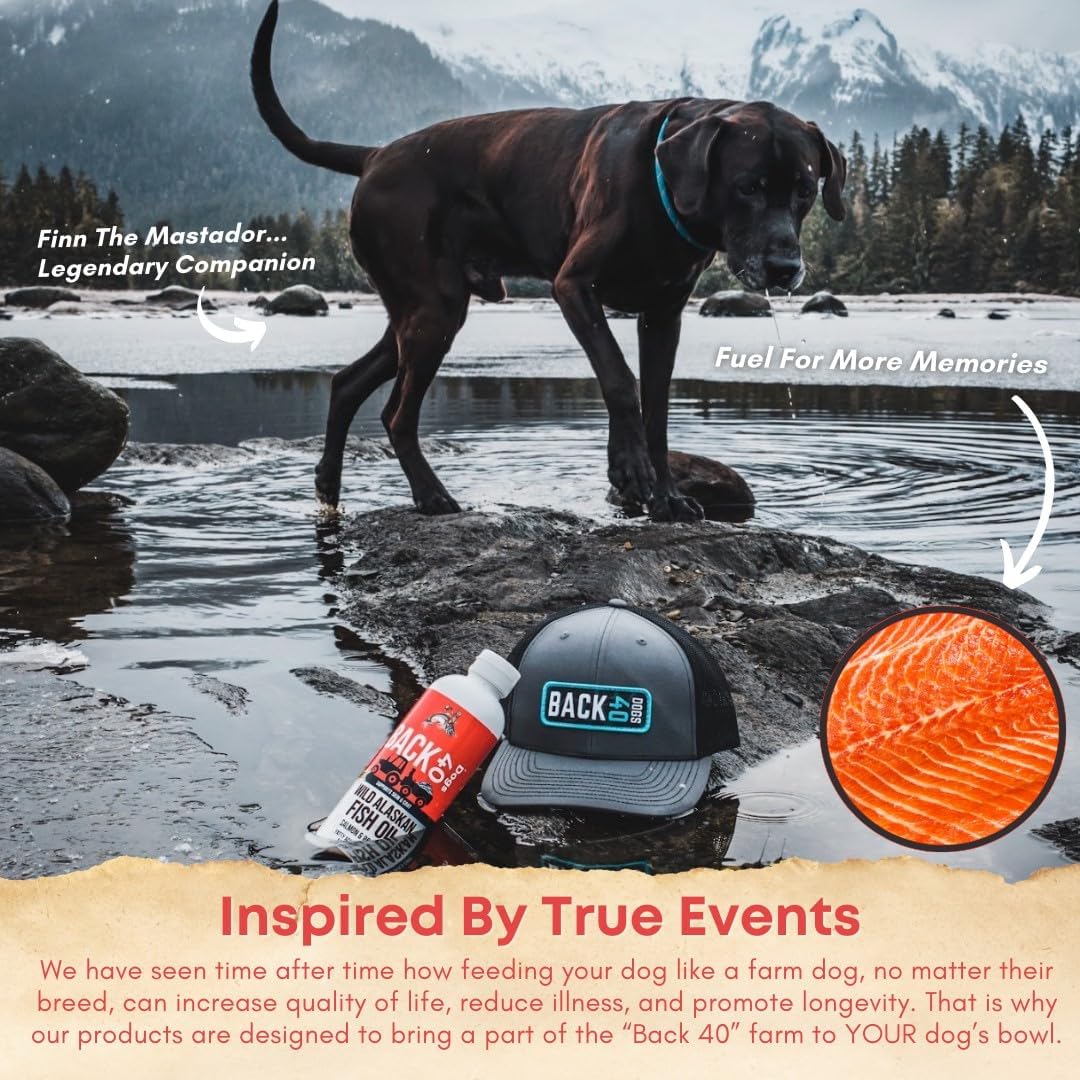 Back 40 Dogs Wild Alaskan Fish Oil for Dogs and Cats - Skin and Coat Supplement with Omega-3 Salmon and Pollock Oil - 16 fl oz
