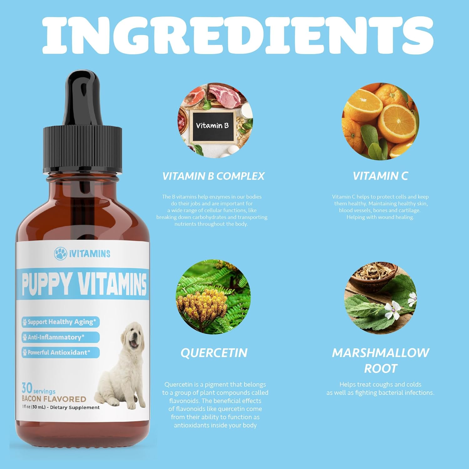 Bacon-Flavored Liquid Puppy Multivitamin Supplement for Small and Large Breed Dogs - 1 fl oz