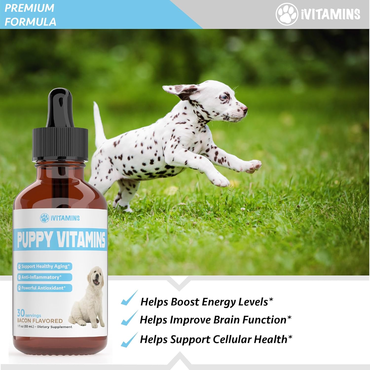 Bacon-Flavored Liquid Puppy Multivitamin Supplement for Small and Large Breed Dogs - 1 fl oz