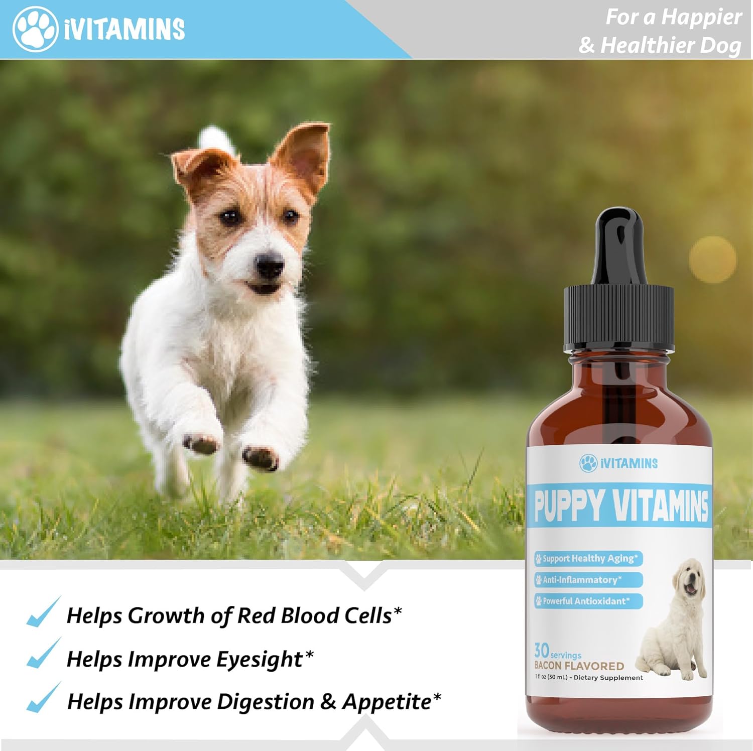 Bacon-Flavored Liquid Puppy Multivitamin Supplement for Small and Large Breed Dogs - 1 fl oz