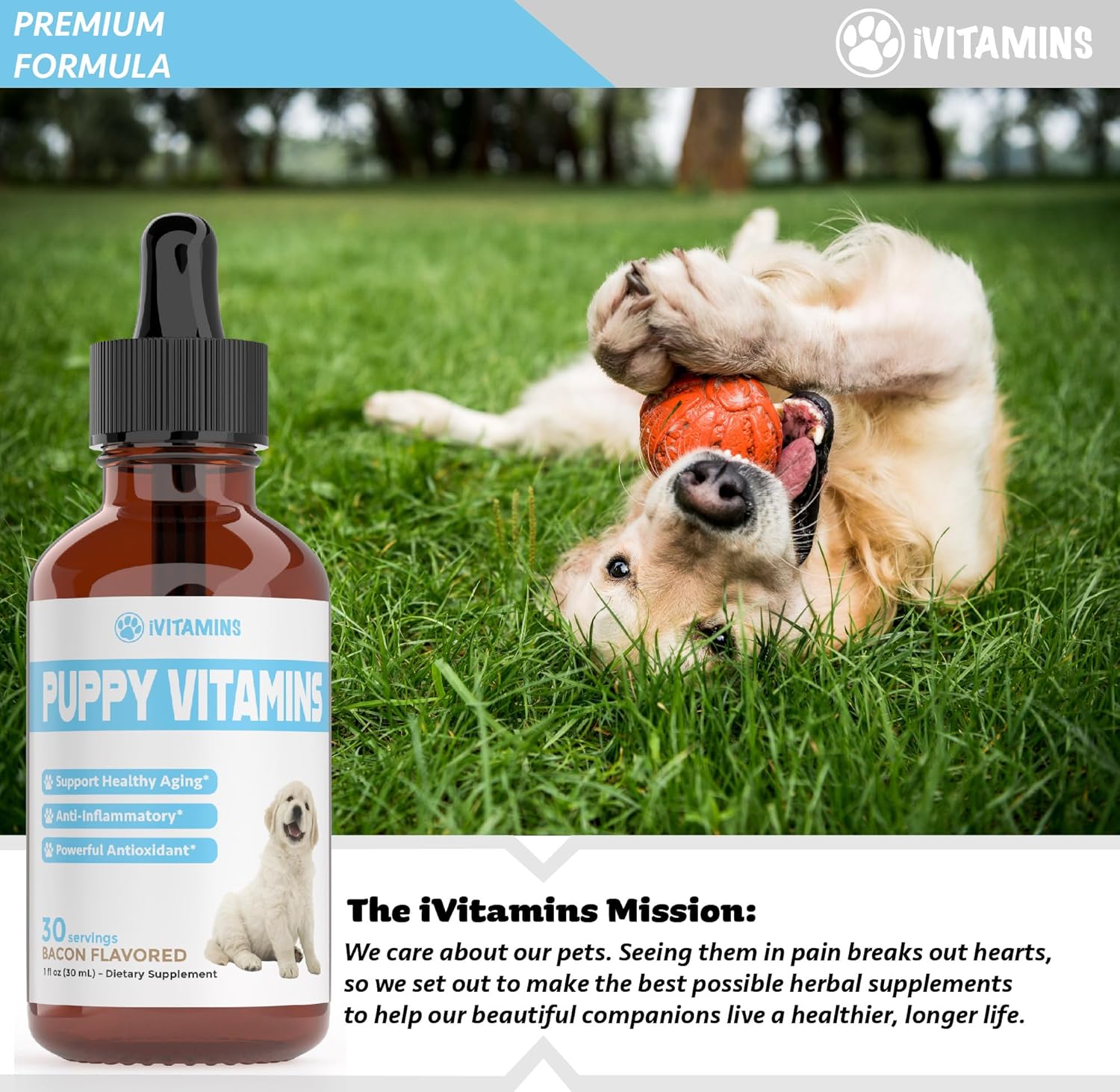 Bacon-Flavored Liquid Puppy Multivitamin Supplement for Small and Large Breed Dogs - 1 fl oz