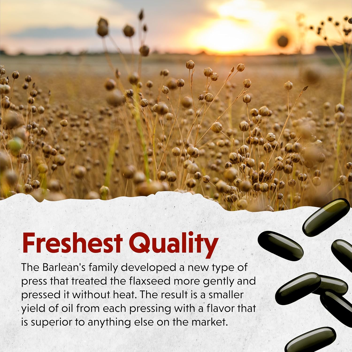 Barlean's Lignan Flaxseed Oil Softgels - Cold-Pressed Supplement with 1,550mg ALA Omega-3 - 1000mg, 100 ct