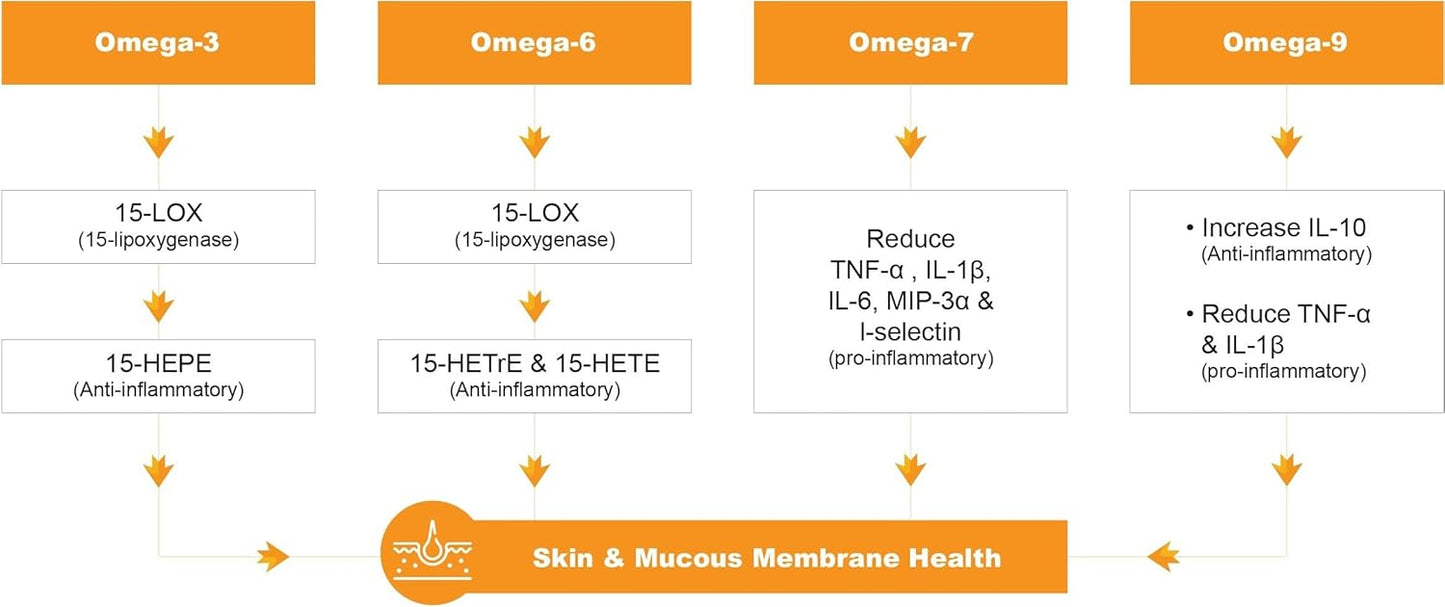 Barlowe's Herbal Elixirs Omegia Seaberry™ Sea Buckthorn Capsules - Complete Omega Fatty Acids - 500mg - 60 Veggie Capsules