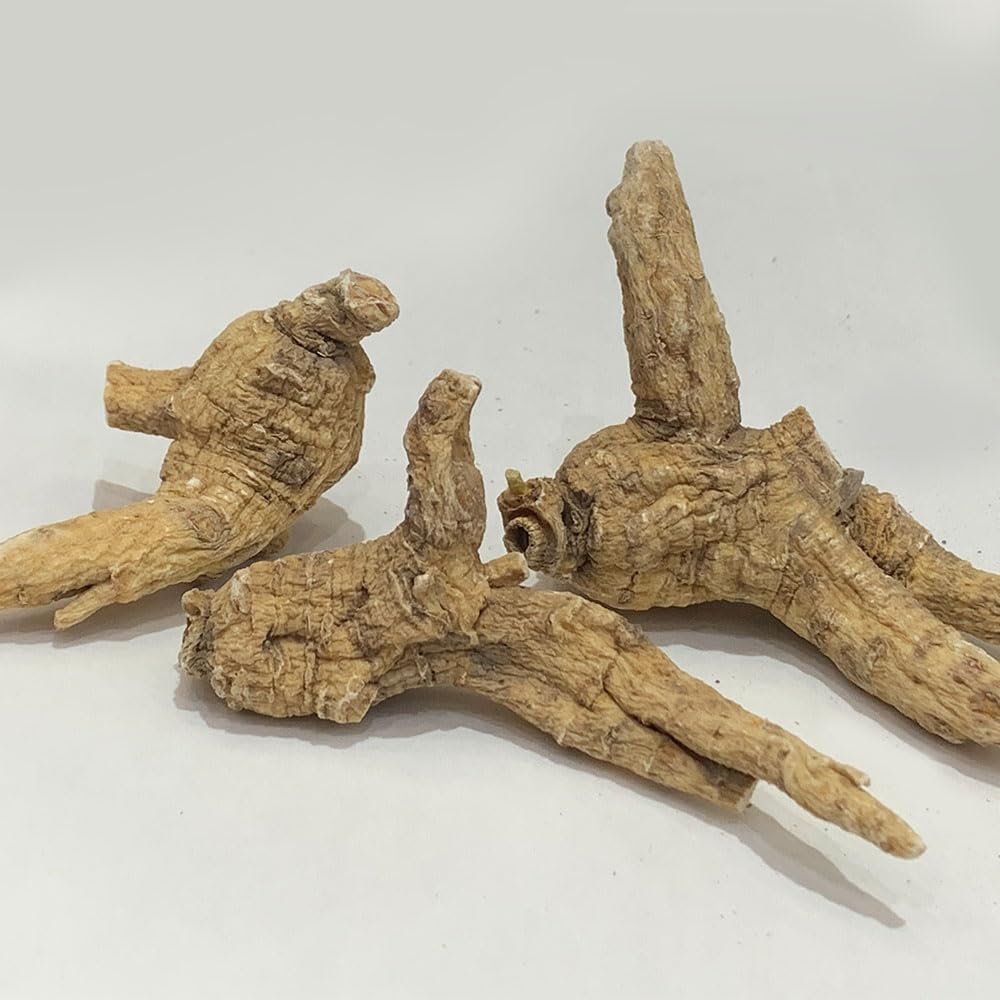 Barrel Root Ginseng 4 oz Bag - Untrimmed American Ginseng for Soup, Tea, Coffee, Smoothies - Non-GMO, Gluten Free
