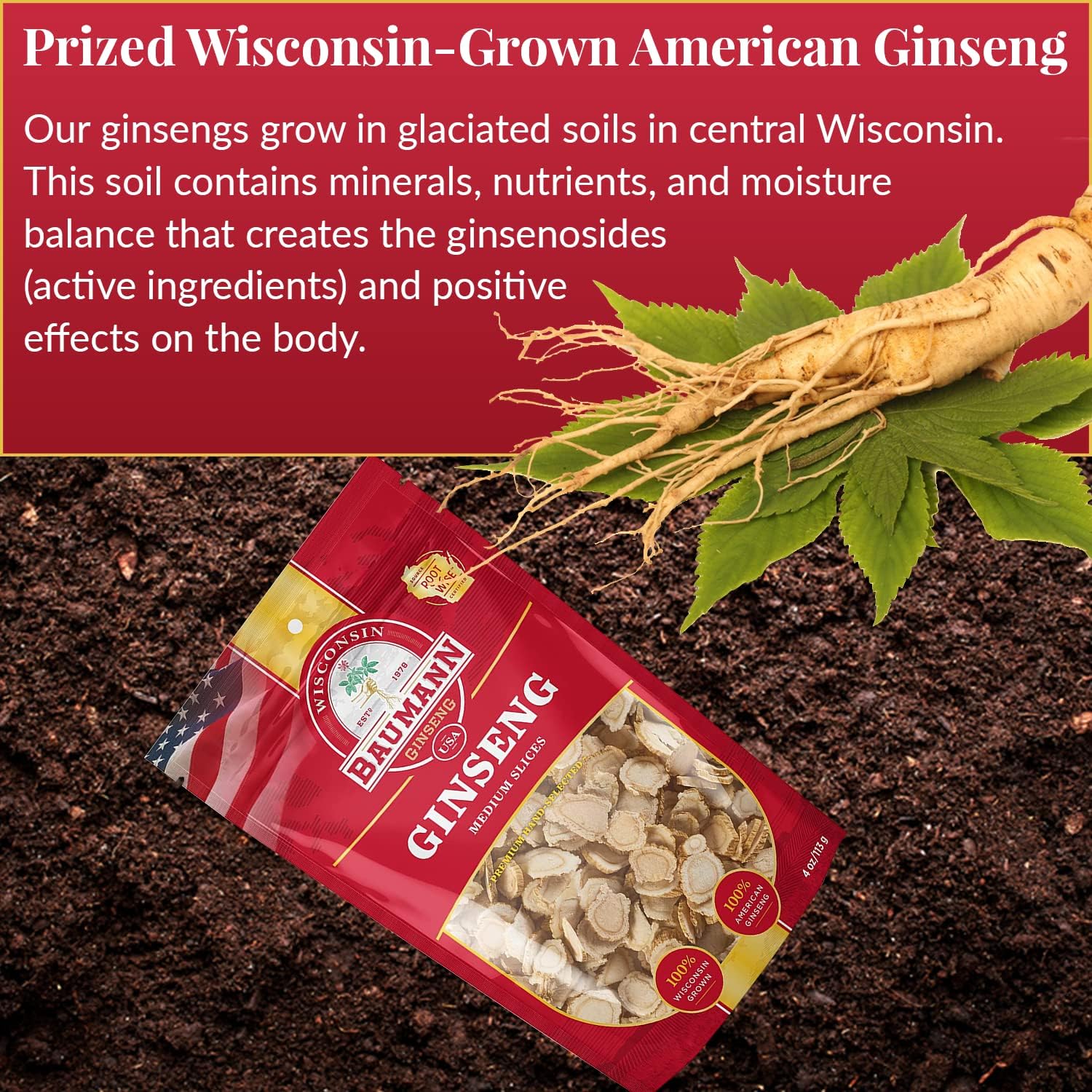 Baumann Wisconsin Ginseng - Medium Slices 4 oz - 100% Natural Panax Ginseng Herb from USA for Focus & Energy