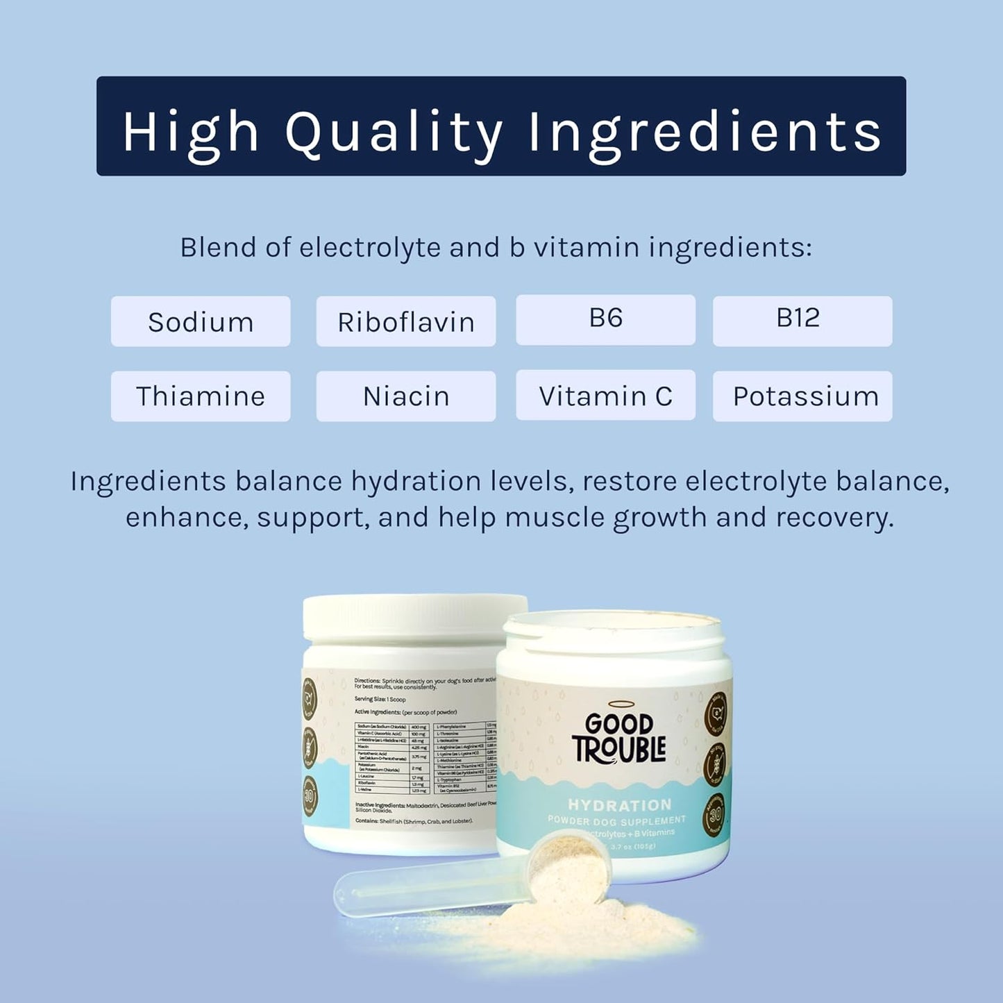 Beef Flavored Dog Hydration Supplement Powder with Electrolytes, Nutrients, and Vitamins for Vitality & Muscle Recovery - Made in USA - 3.7 oz