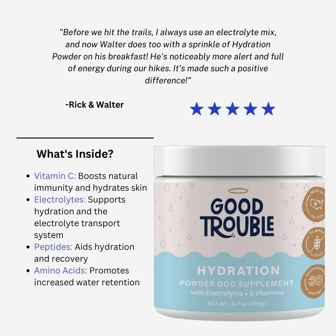 Beef Flavored Dog Hydration Supplement Powder with Electrolytes, Nutrients, and Vitamins for Vitality & Muscle Recovery - Made in USA - 3.7 oz
