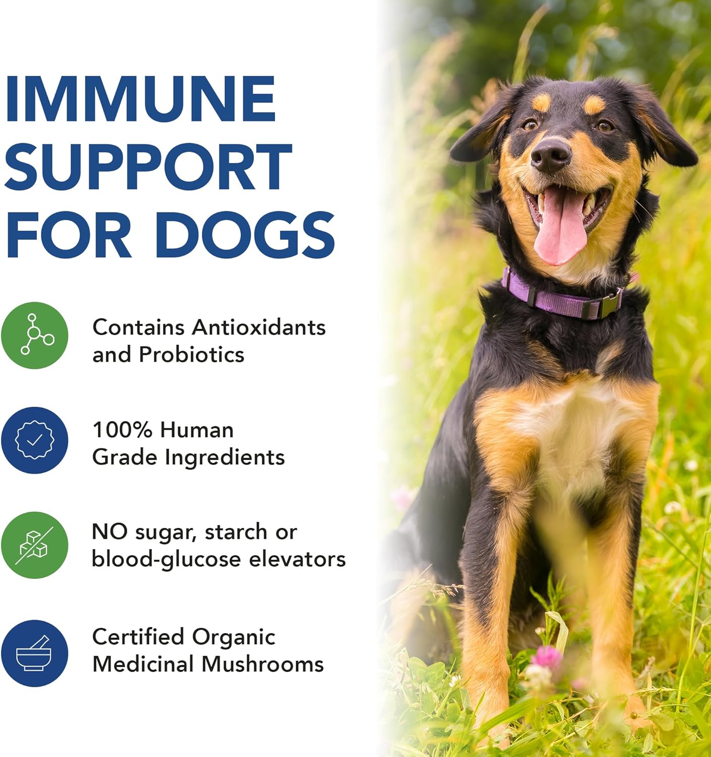 Beef Flavored K9 Medicinals Dog Immune Support Powder with Probiotics, Antioxidants, and Mushroom Blend for Gut and Digestive Health - 4oz