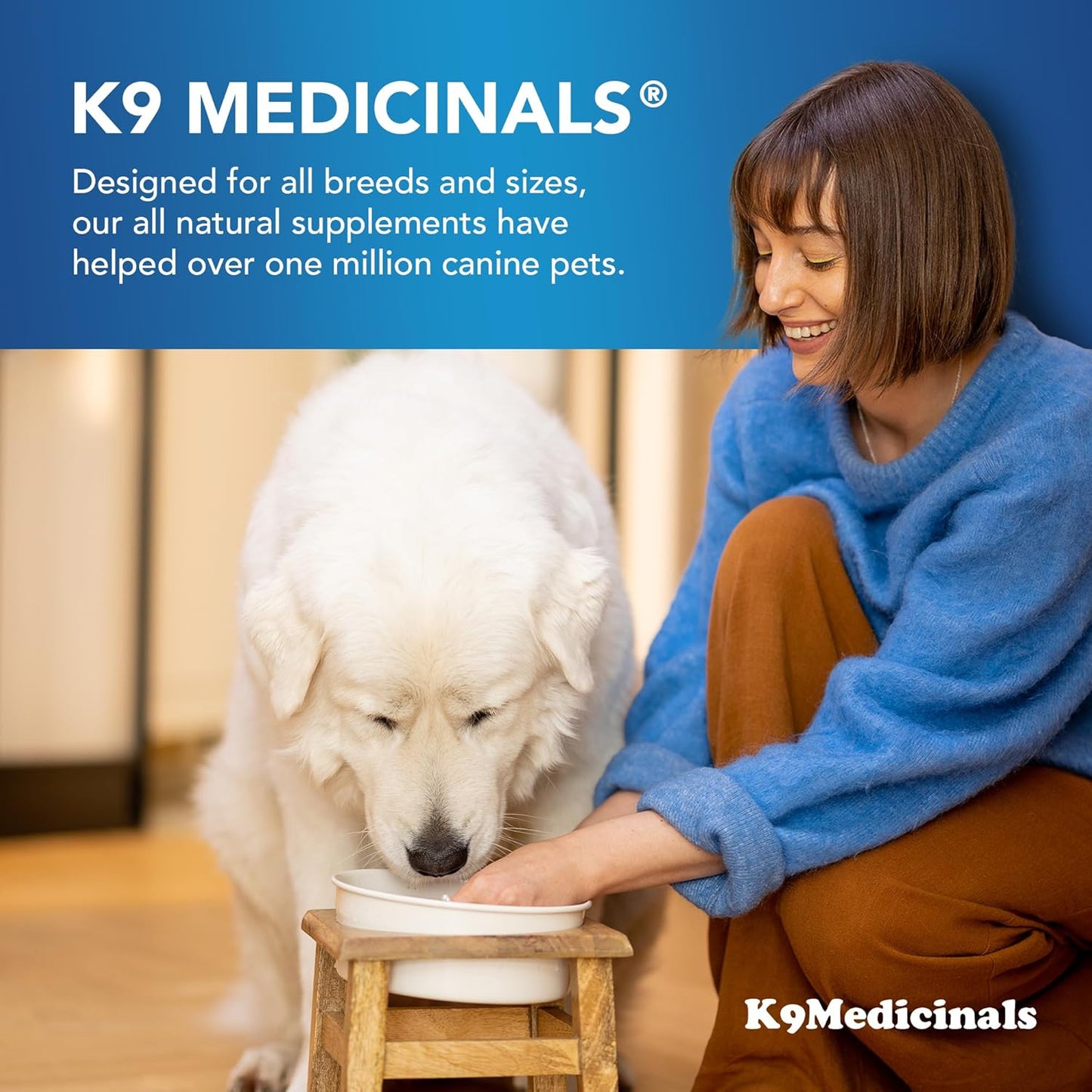 Beef Flavored K9 Medicinals Dog Immune Support Powder with Probiotics, Antioxidants, and Mushroom Blend for Gut and Digestive Health - 4oz