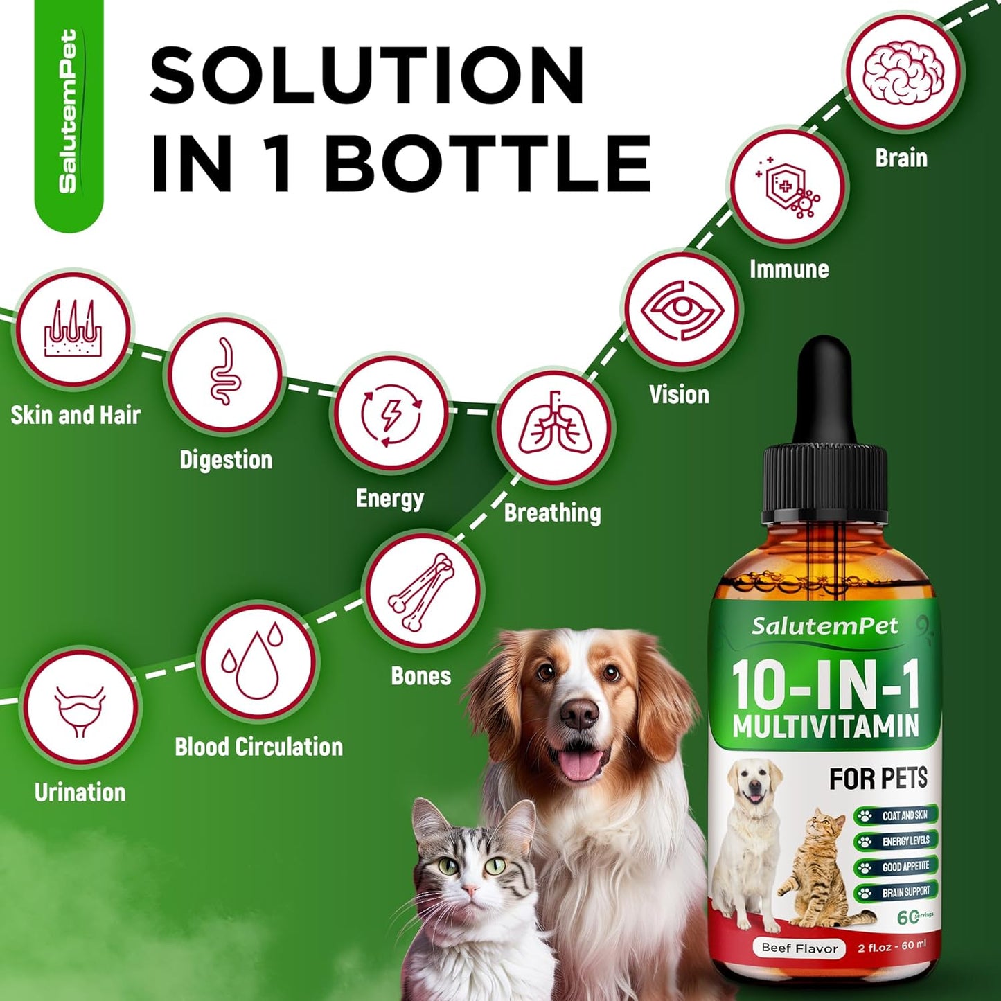 Beef Flavored Liquid Multivitamin for Dogs and Cats - Pet Vitamins and Supplements - 2 fl.oz Bottle