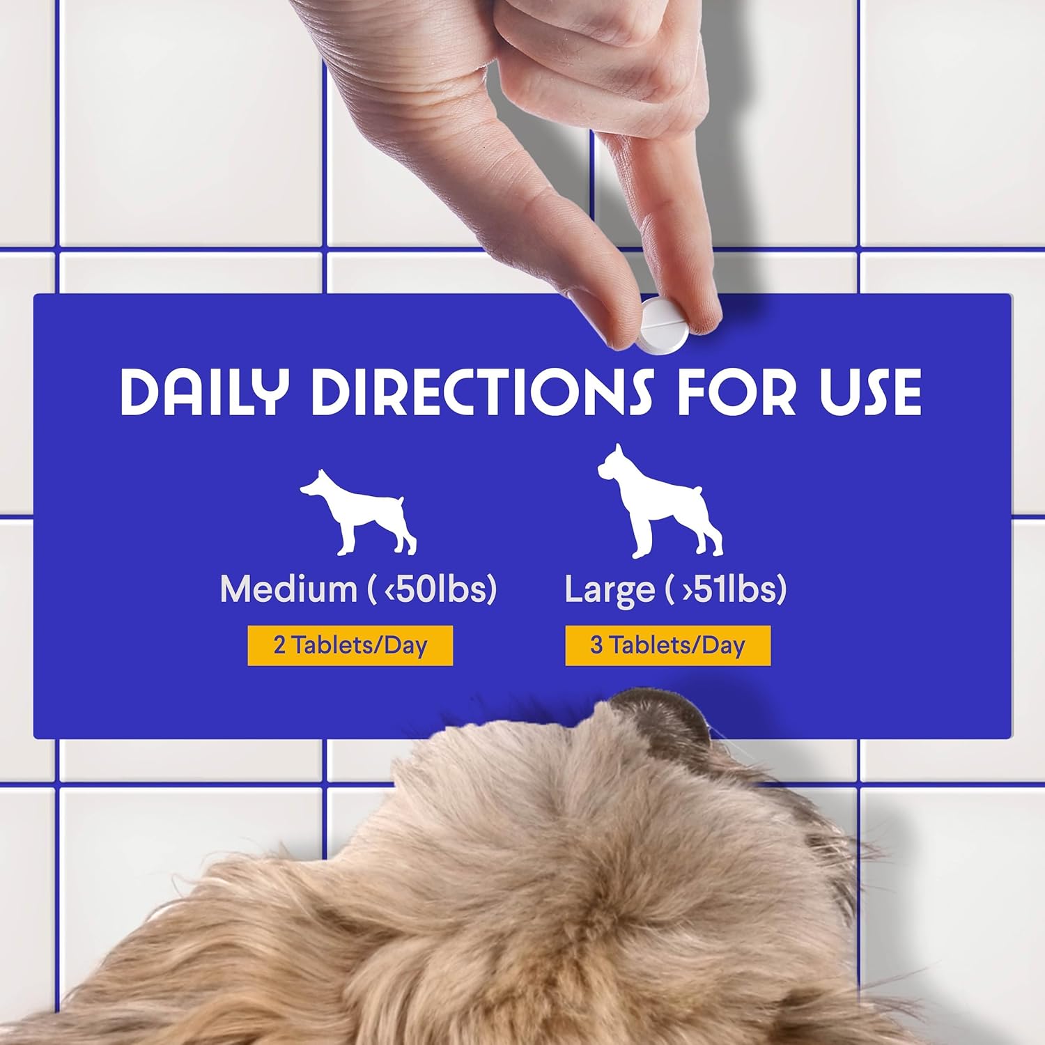 Beef Flavored Wonder Paws B12 Chewables for Dogs - Superior Methylcobalamin & Folate Supplement for Dogs of All Sizes & Breeds - 90 Count